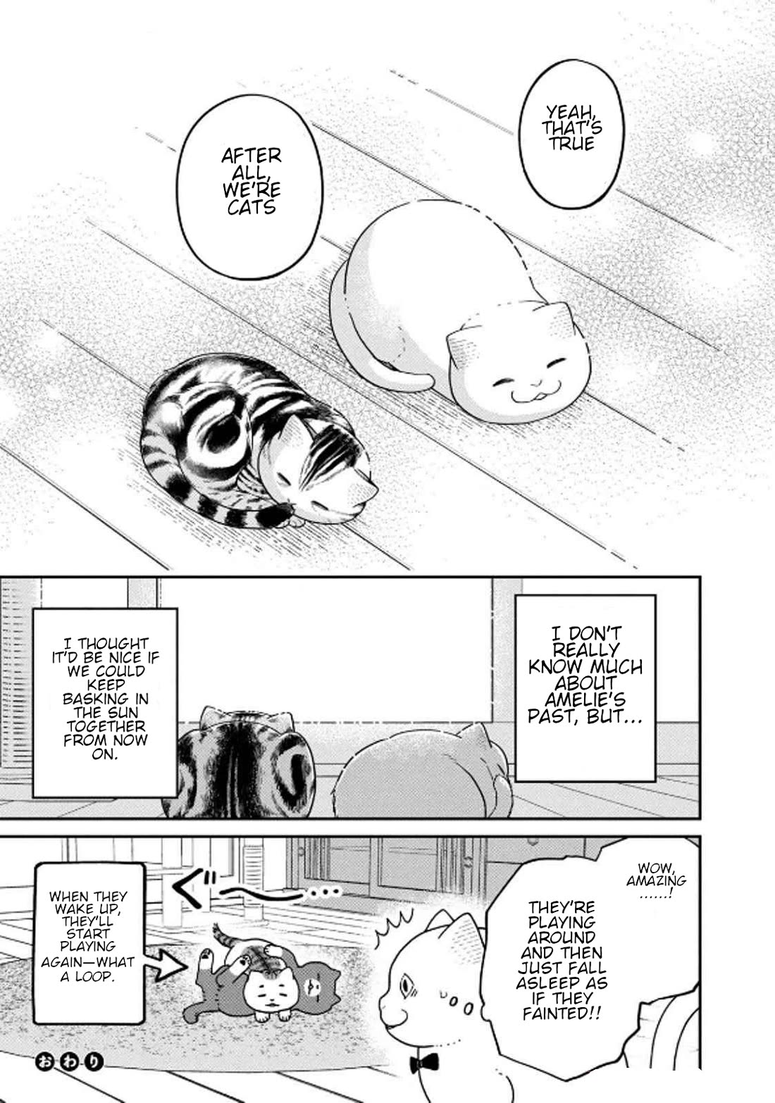 Cat Partners: Maruru and Hachi Chapter 32 page 11 - Chapter 32: Amelie's Sunny Spot
