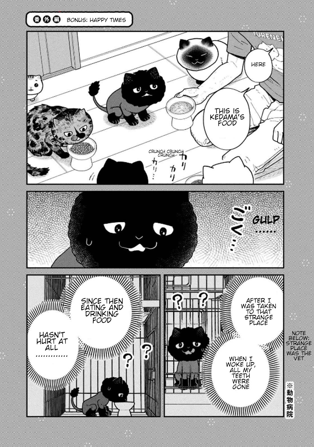 Cat Partners: Maruru and Hachi Chapter 32 page 13 - Chapter 32: Amelie's Sunny Spot