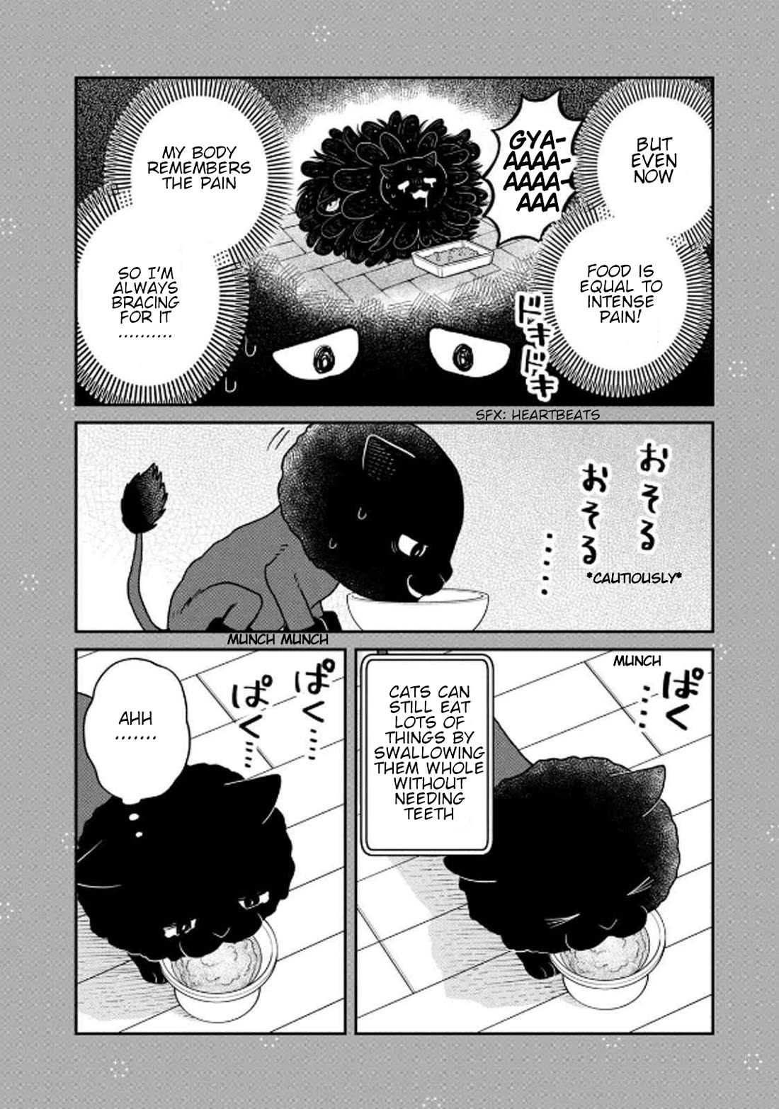 Cat Partners: Maruru and Hachi Chapter 32 page 14 - Chapter 32: Amelie's Sunny Spot