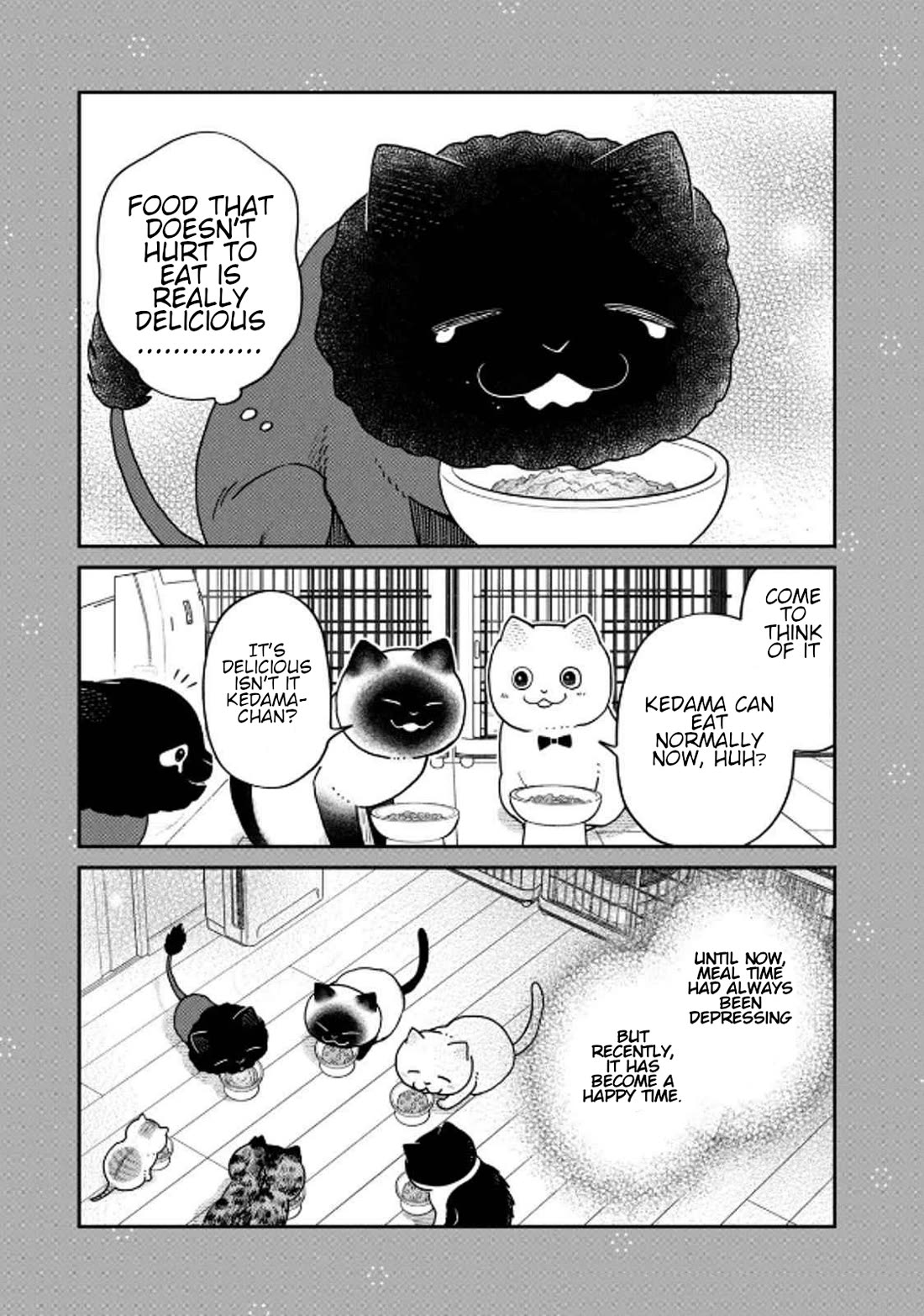 Cat Partners: Maruru and Hachi Chapter 32 page 15 - Chapter 32: Amelie's Sunny Spot