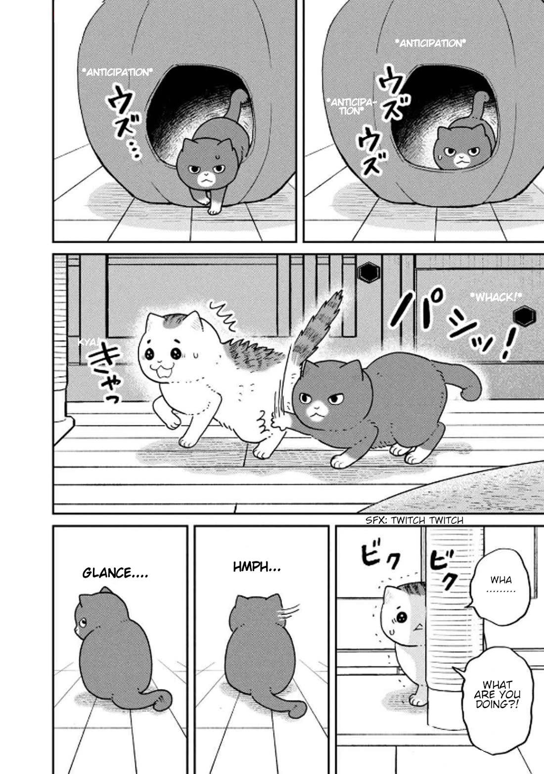 Cat Partners: Maruru and Hachi Chapter 32 page 2 - Chapter 32: Amelie's Sunny Spot