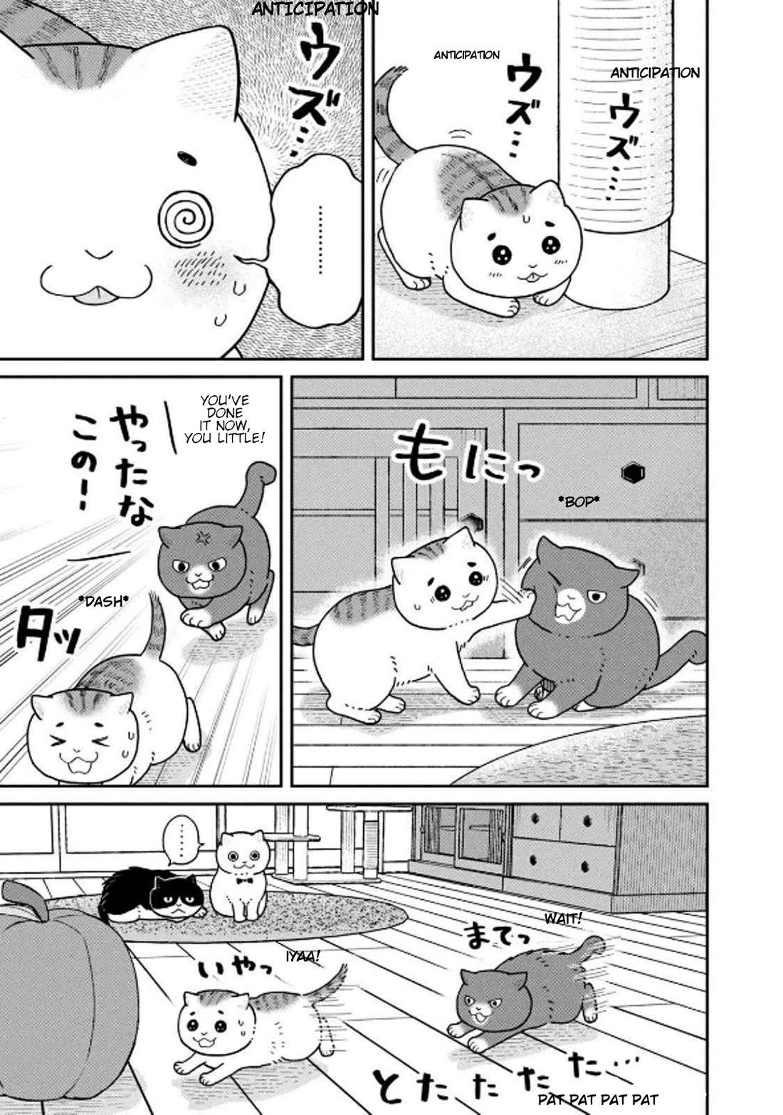 Cat Partners: Maruru and Hachi Chapter 32 page 3 - Chapter 32: Amelie's Sunny Spot