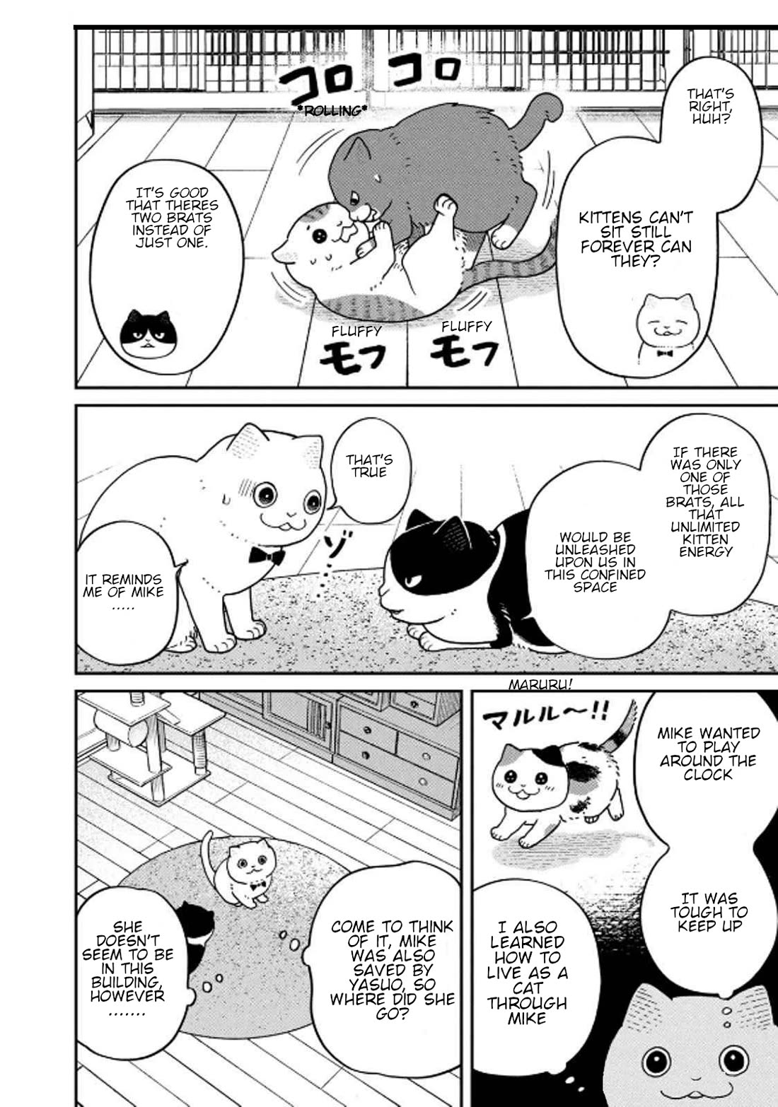 Cat Partners: Maruru and Hachi Chapter 32 page 4 - Chapter 32: Amelie's Sunny Spot