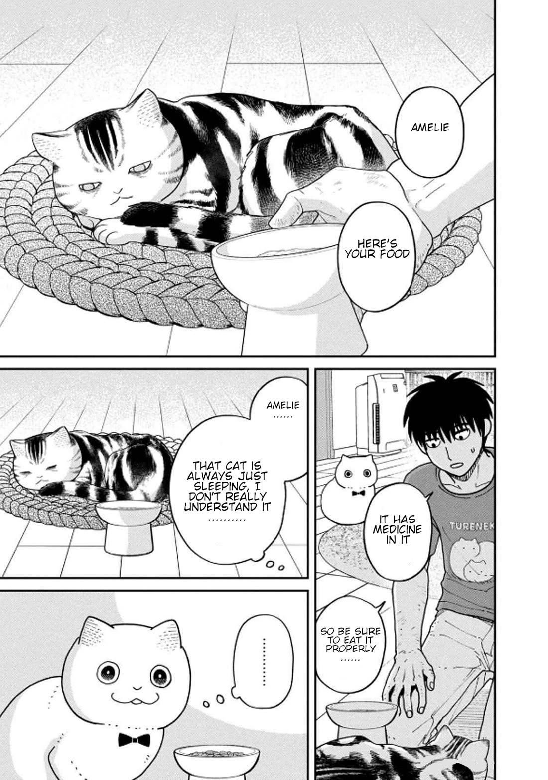 Cat Partners: Maruru and Hachi Chapter 32 page 5 - Chapter 32: Amelie's Sunny Spot