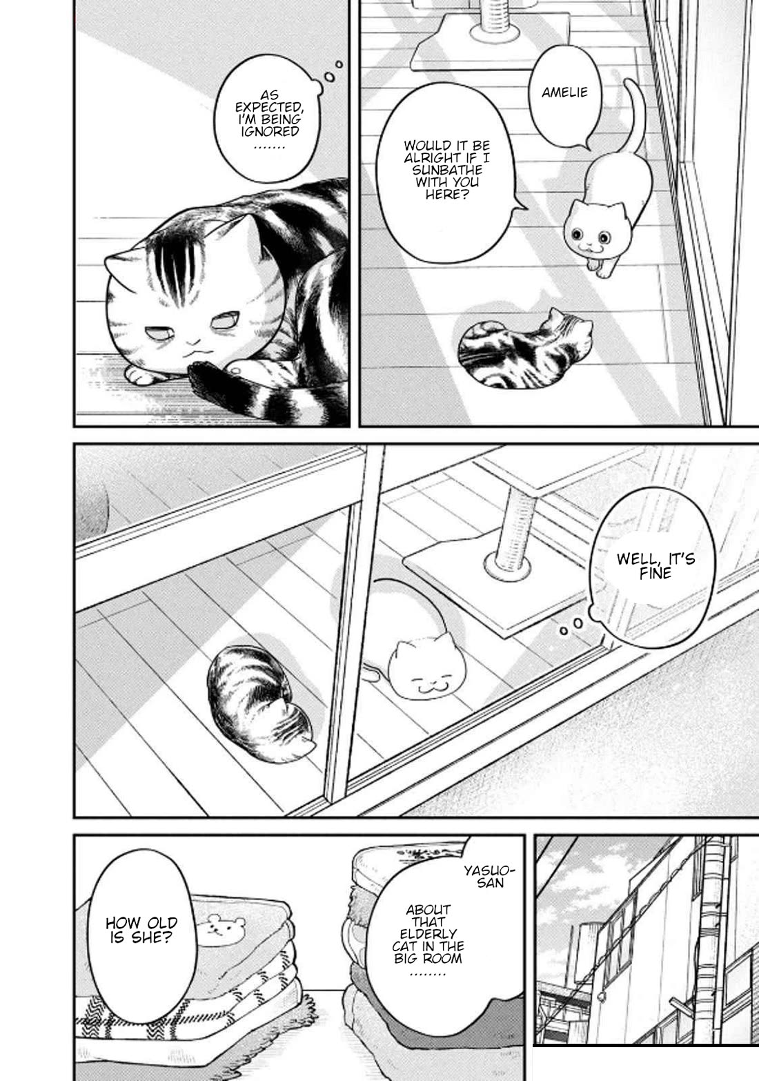 Cat Partners: Maruru and Hachi Chapter 32 page 6 - Chapter 32: Amelie's Sunny Spot