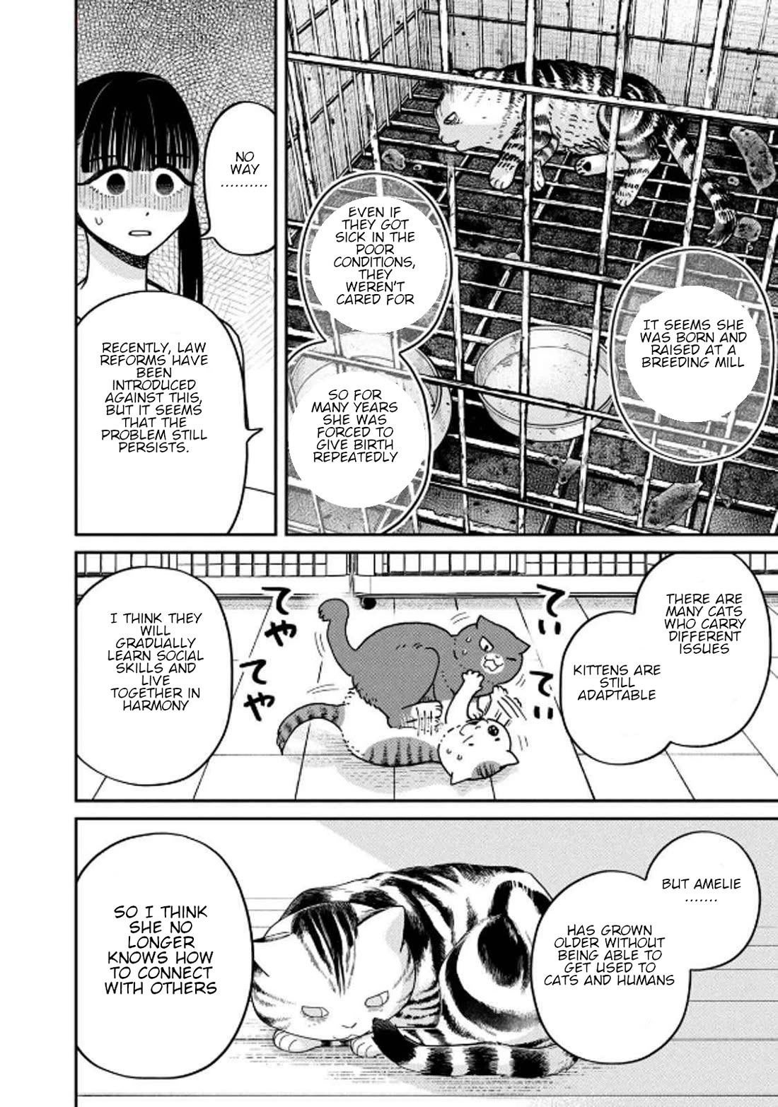 Cat Partners: Maruru and Hachi Chapter 32 page 8 - Chapter 32: Amelie's Sunny Spot