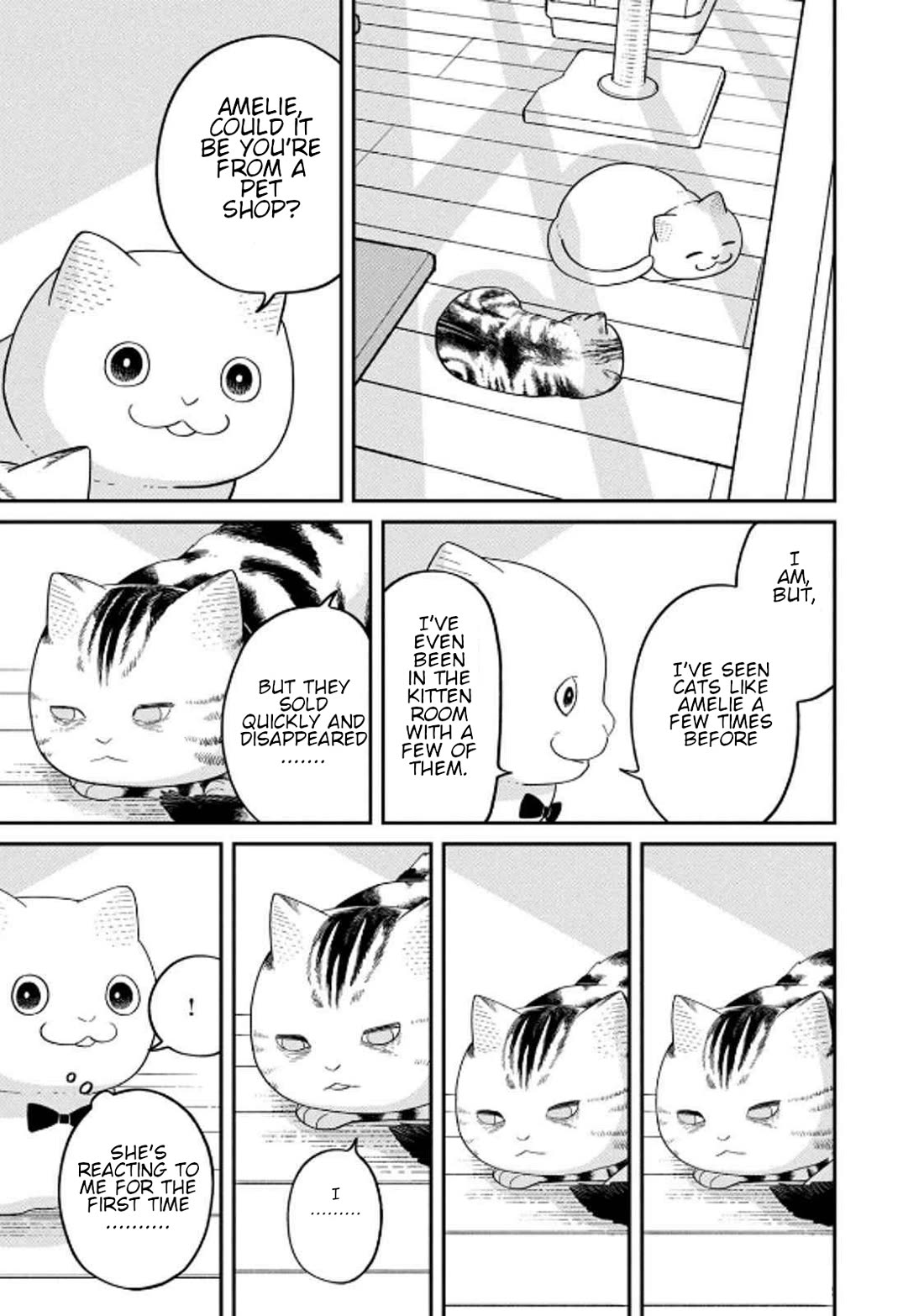 Cat Partners: Maruru and Hachi Chapter 32 page 9 - Chapter 32: Amelie's Sunny Spot
