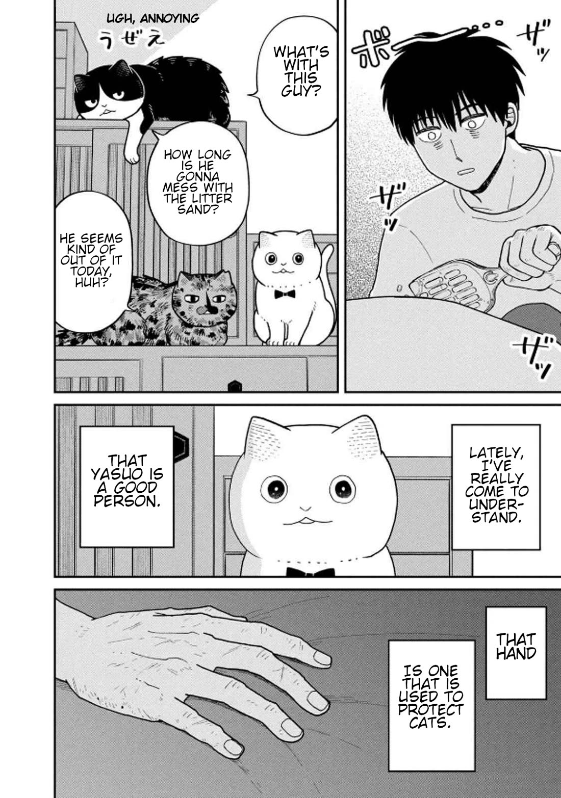 Cat Partners: Maruru and Hachi Chapter 33 page 12 - Chapter 33: Things That Cats Know