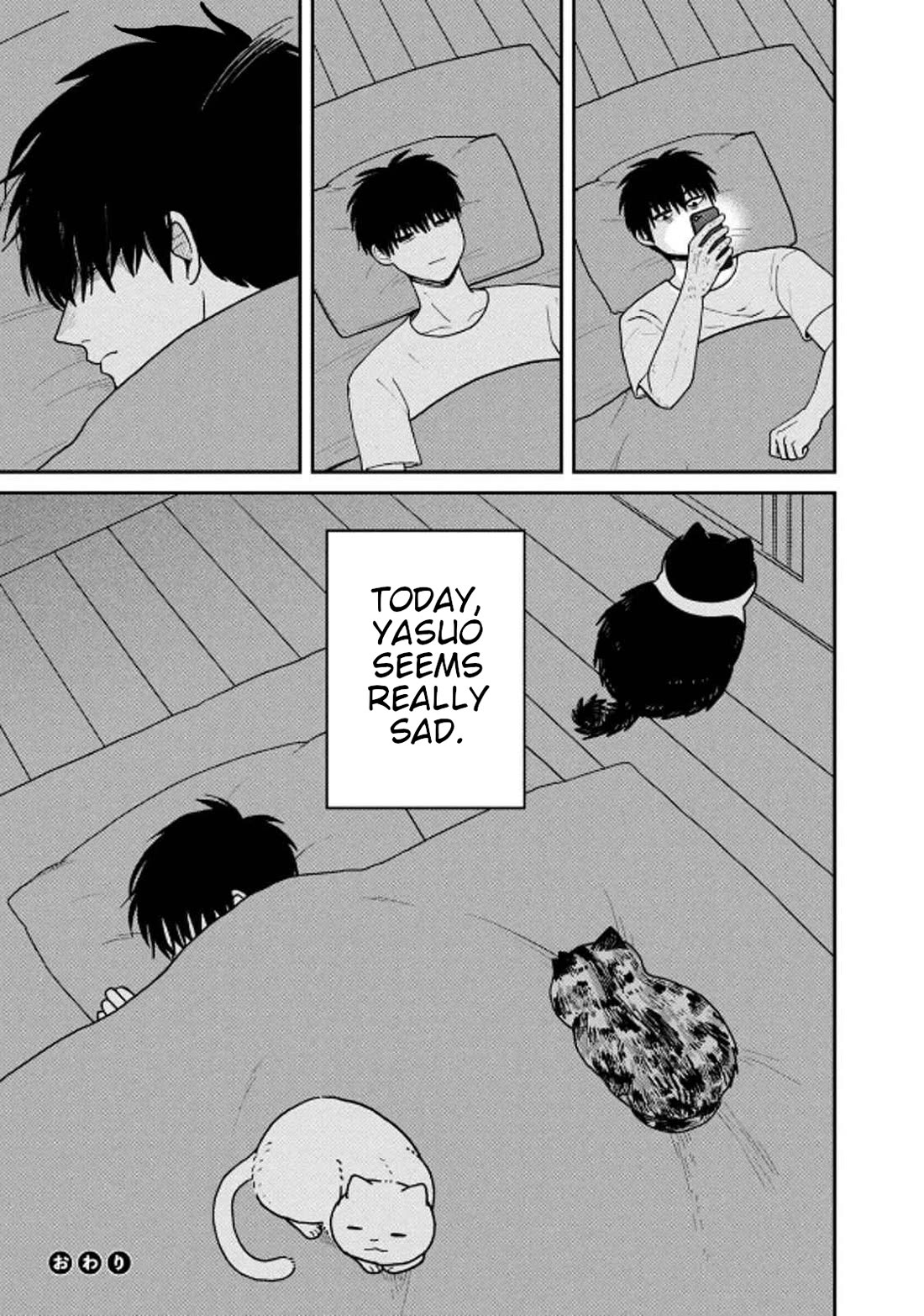 Cat Partners: Maruru and Hachi Chapter 33 page 13 - Chapter 33: Things That Cats Know