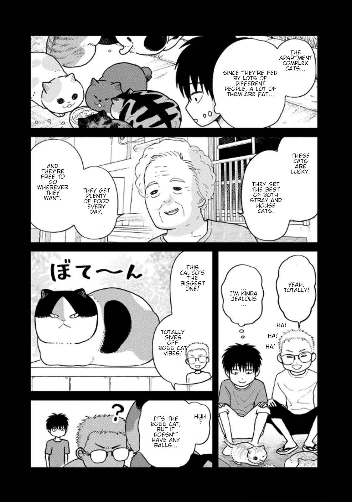 Cat Partners: Maruru and Hachi Chapter 35 page 3 - Chapter 35: Cat Apartment Complex Part 2