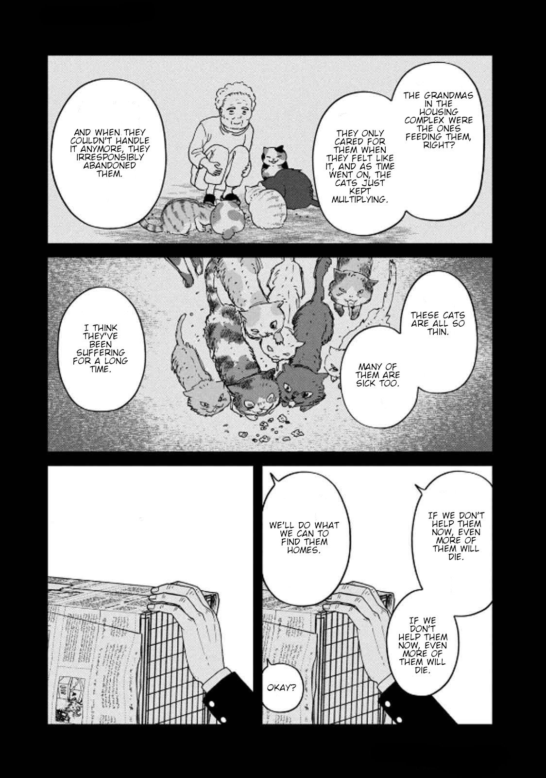 Cat Partners: Maruru and Hachi Chapter 36 page 11 - Chapter 36: Cat Apartment Complex Part 3