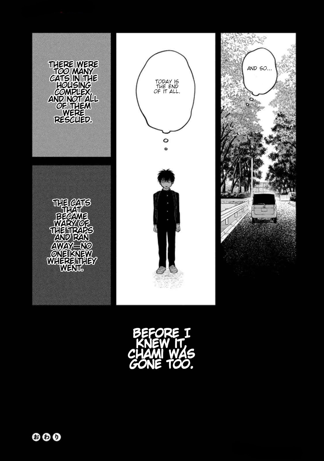 Cat Partners: Maruru and Hachi Chapter 36 page 14 - Chapter 36: Cat Apartment Complex Part 3
