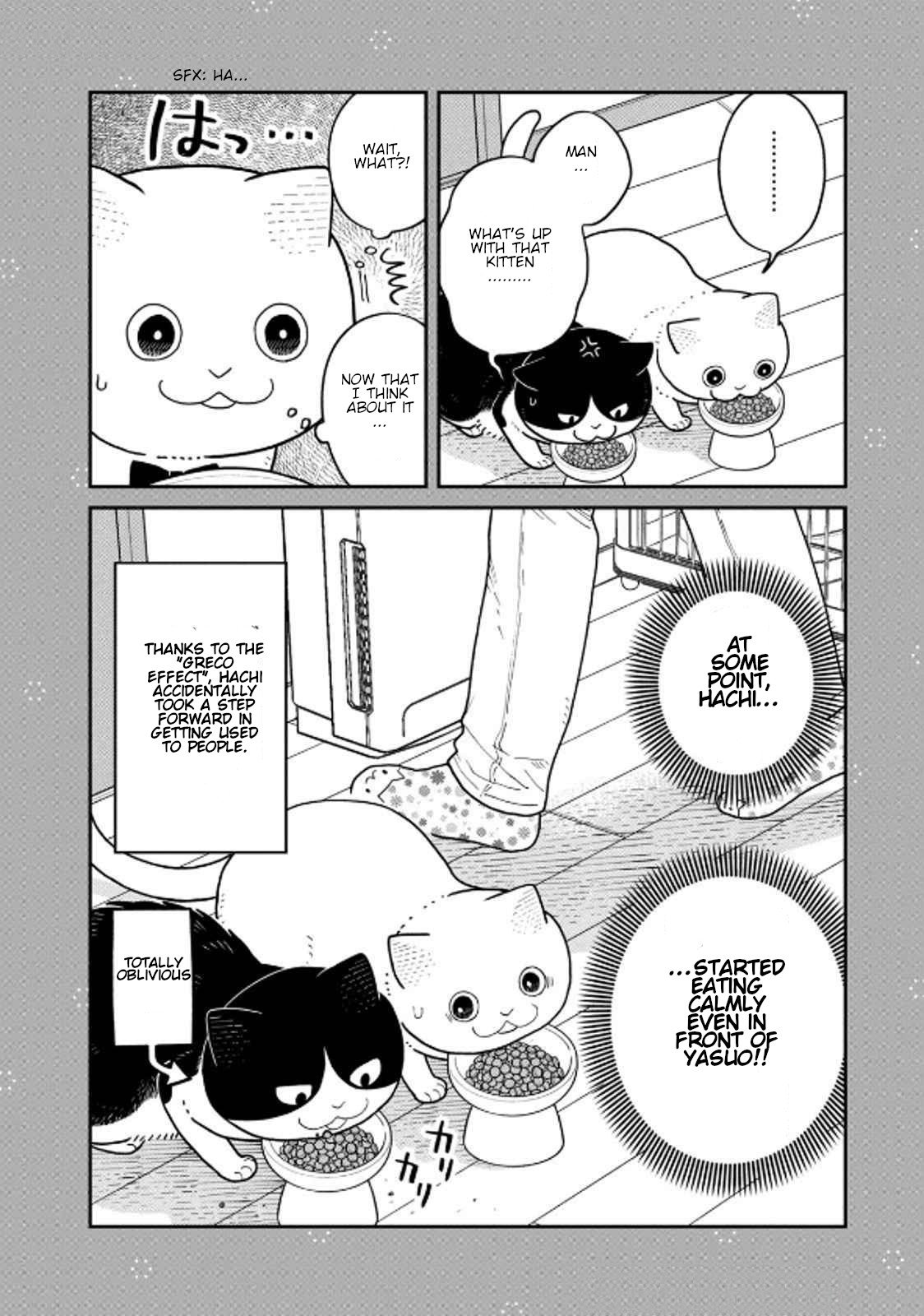 Cat Partners: Maruru and Hachi Chapter 36 page 16 - Chapter 36: Cat Apartment Complex Part 3