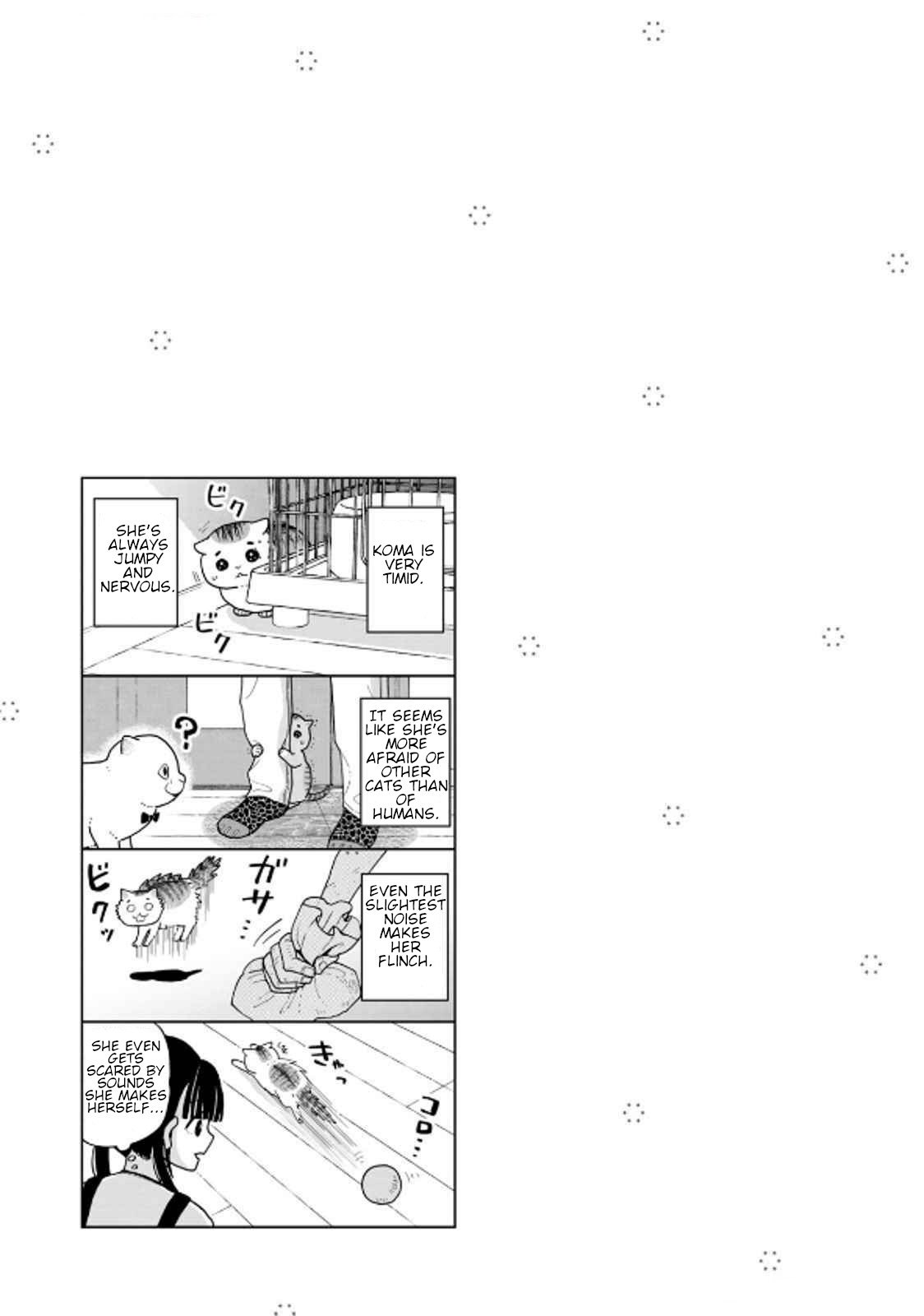 Cat Partners: Maruru and Hachi Chapter 36 page 17 - Chapter 36: Cat Apartment Complex Part 3