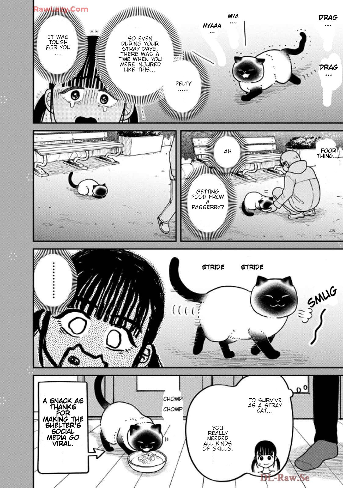 Cat Partners: Maruru and Hachi Chapter 36 page 19 - Chapter 36: Cat Apartment Complex Part 3