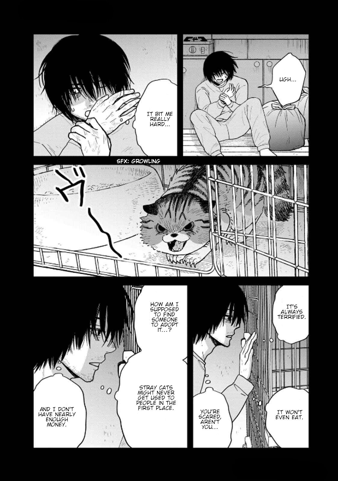 Cat Partners: Maruru and Hachi Chapter 37 page 11 - Chapter 37: Yasuo the Cat-Kidnapper