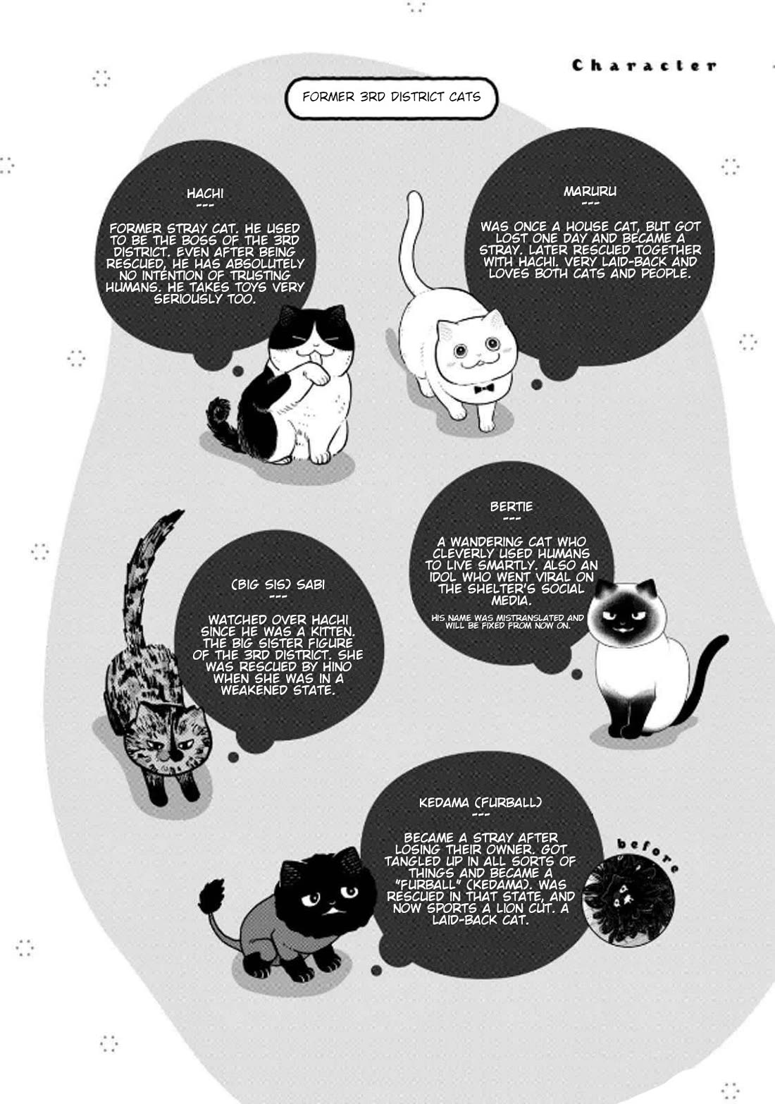 Cat Partners: Maruru and Hachi Chapter 37 page 2 - Chapter 37: Yasuo the Cat-Kidnapper