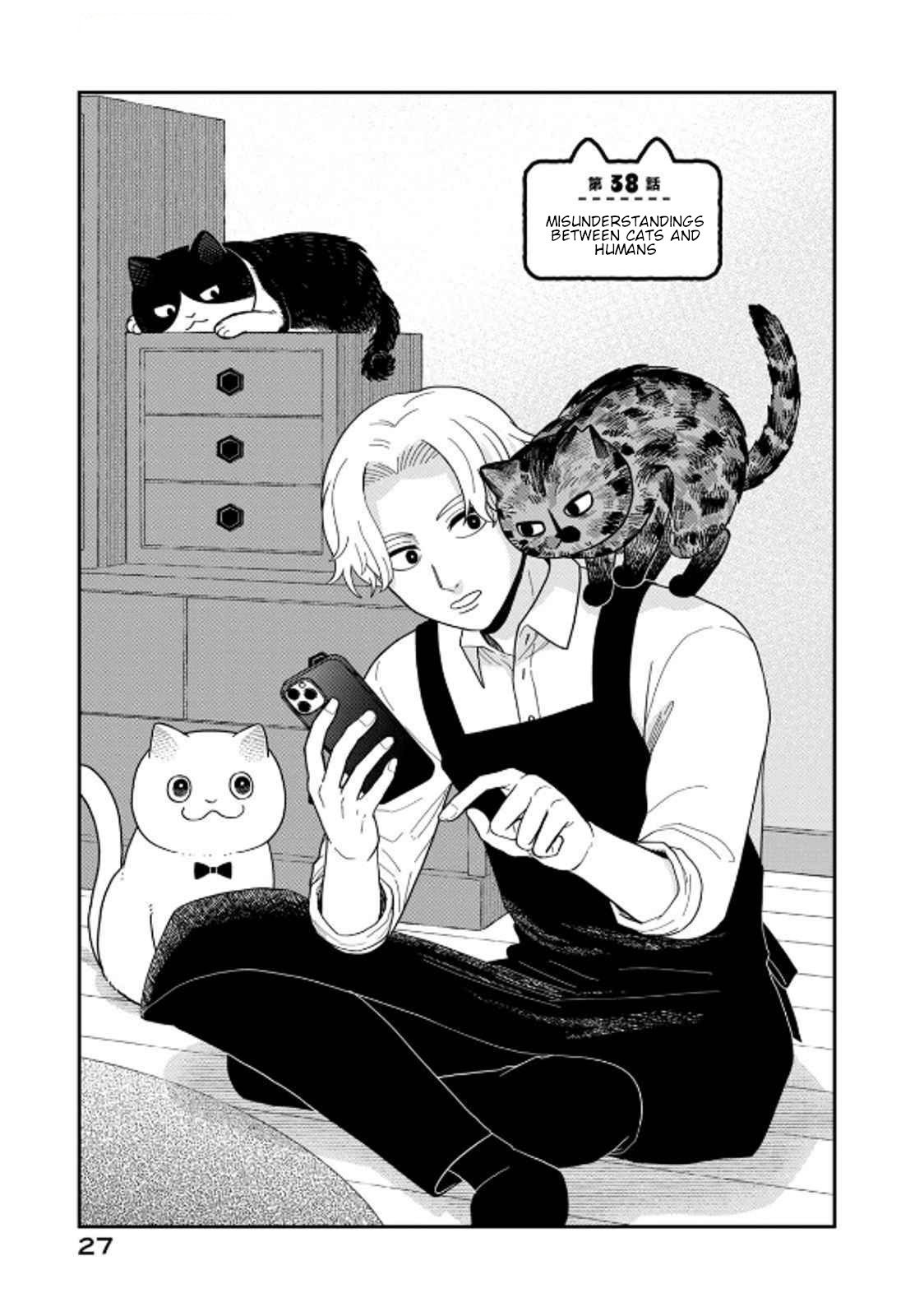 Cat Partners: Maruru and Hachi Chapter 38 page 1 - Chapter 38: Misunderstandings Between Cats and Humans