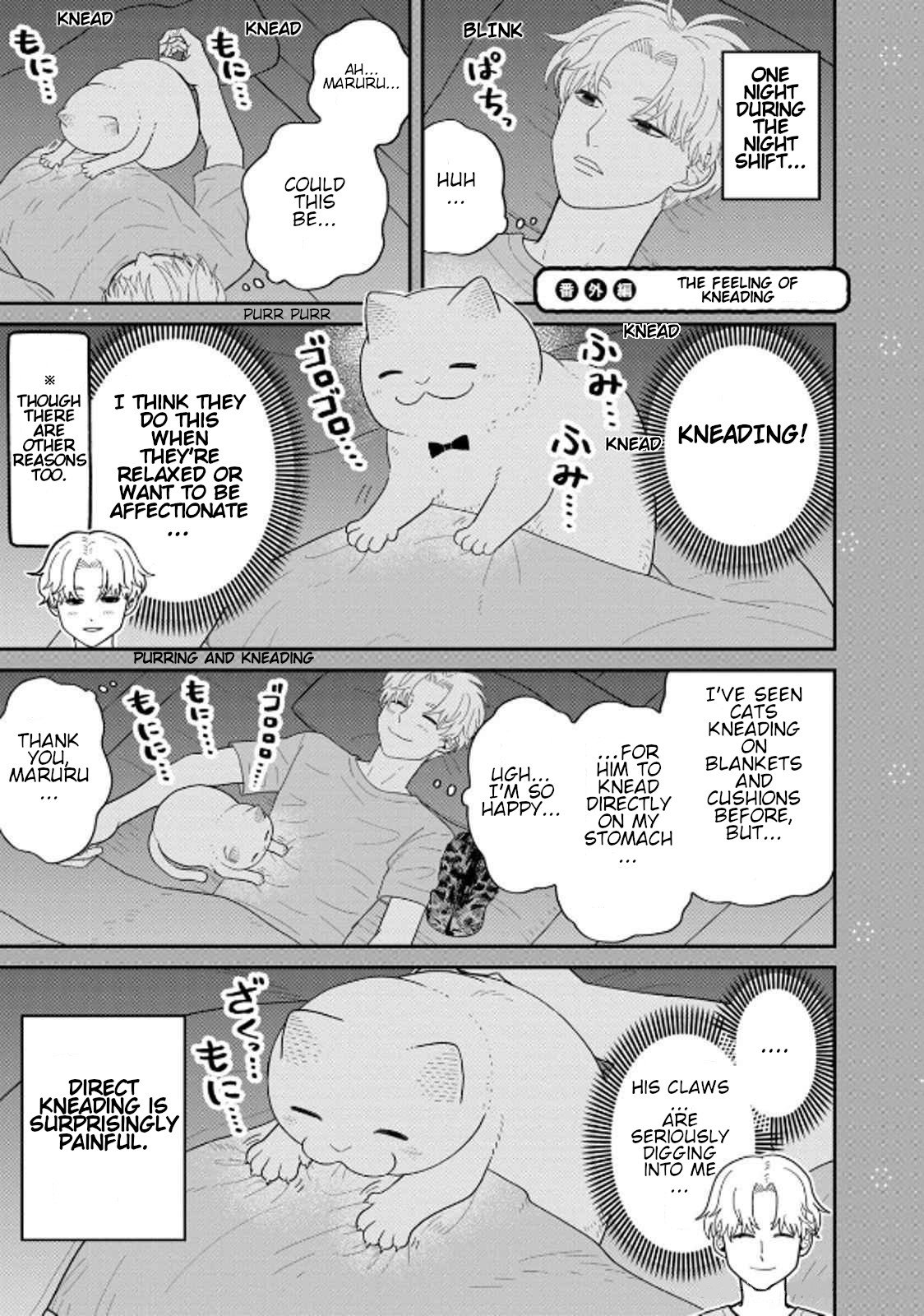 Cat Partners: Maruru and Hachi Chapter 38 page 12 - Chapter 38: Misunderstandings Between Cats and Humans