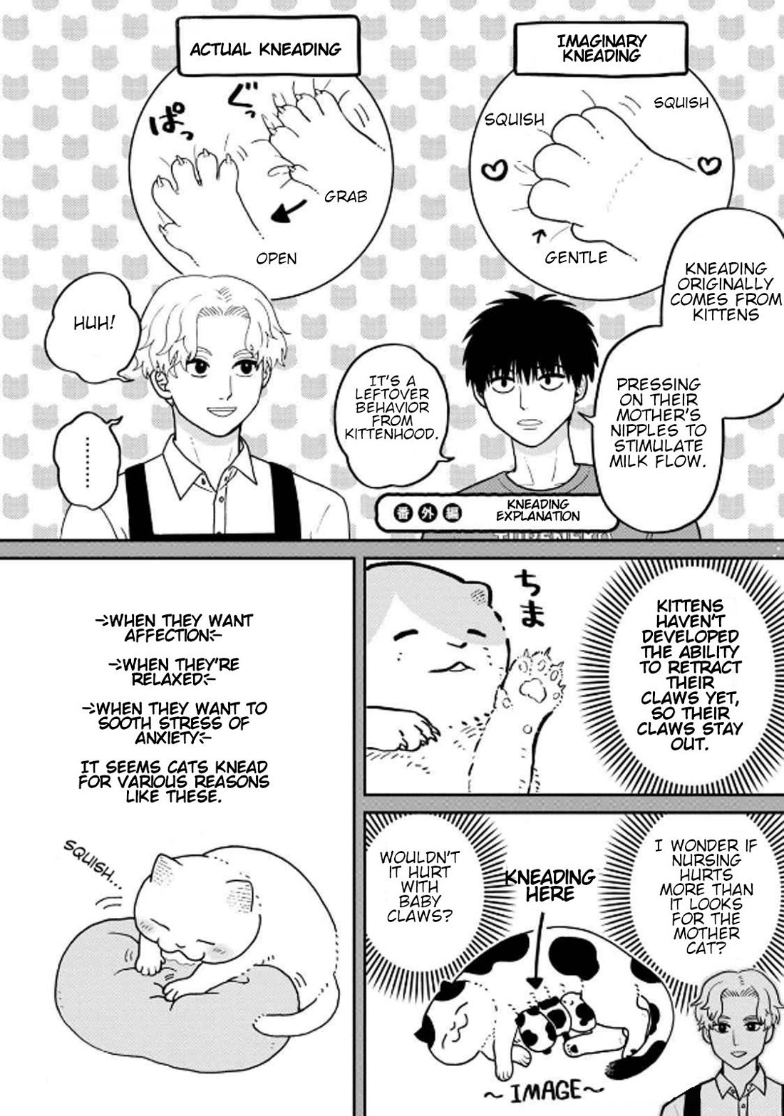Cat Partners: Maruru and Hachi Chapter 38 page 13 - Chapter 38: Misunderstandings Between Cats and Humans