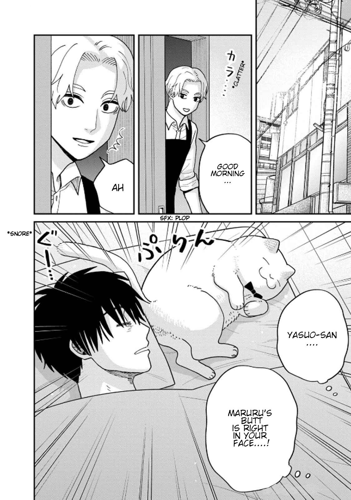 Cat Partners: Maruru and Hachi Chapter 38 page 2 - Chapter 38: Misunderstandings Between Cats and Humans