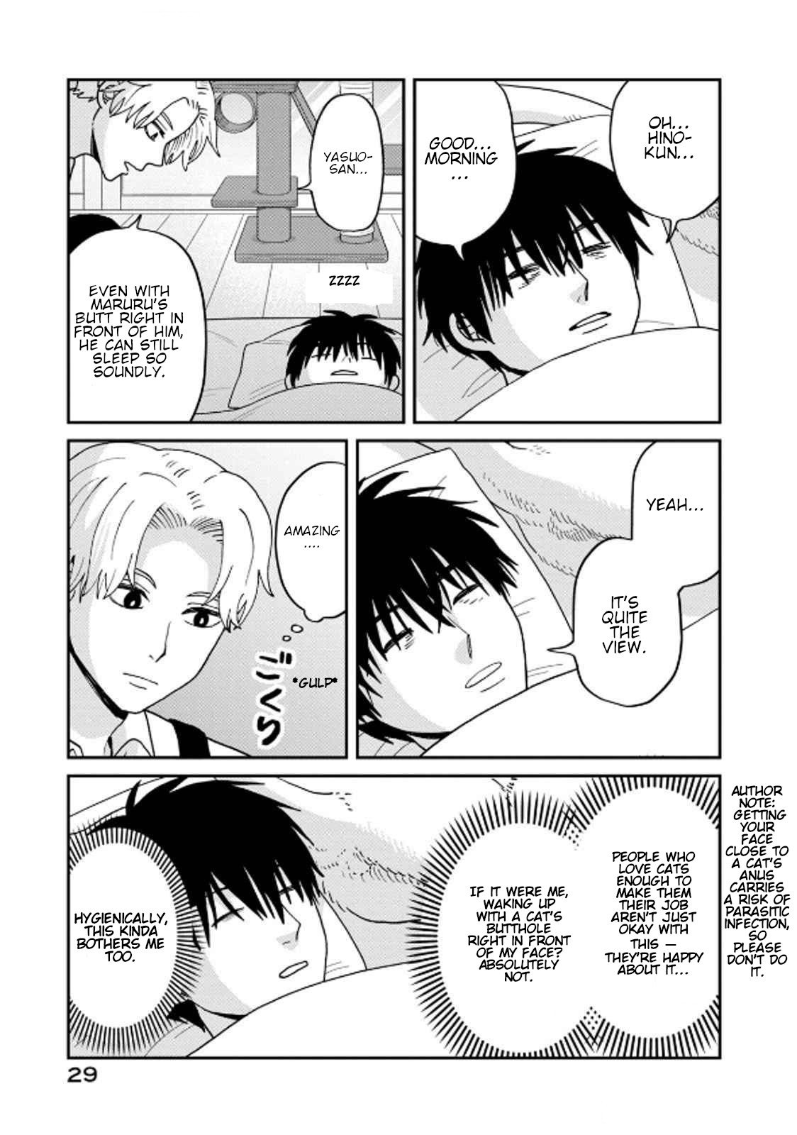 Cat Partners: Maruru and Hachi Chapter 38 page 3 - Chapter 38: Misunderstandings Between Cats and Humans