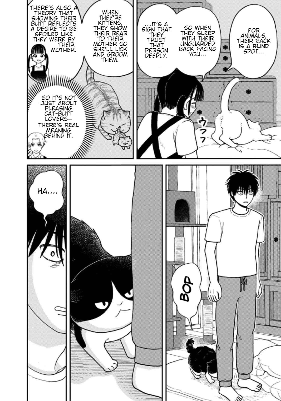 Cat Partners: Maruru and Hachi Chapter 38 page 8 - Chapter 38: Misunderstandings Between Cats and Humans