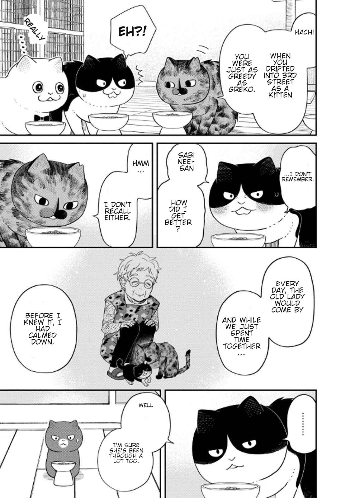 Cat Partners: Maruru and Hachi Chapter 39 page 11 - Chapter 39: Greko's Next Meal