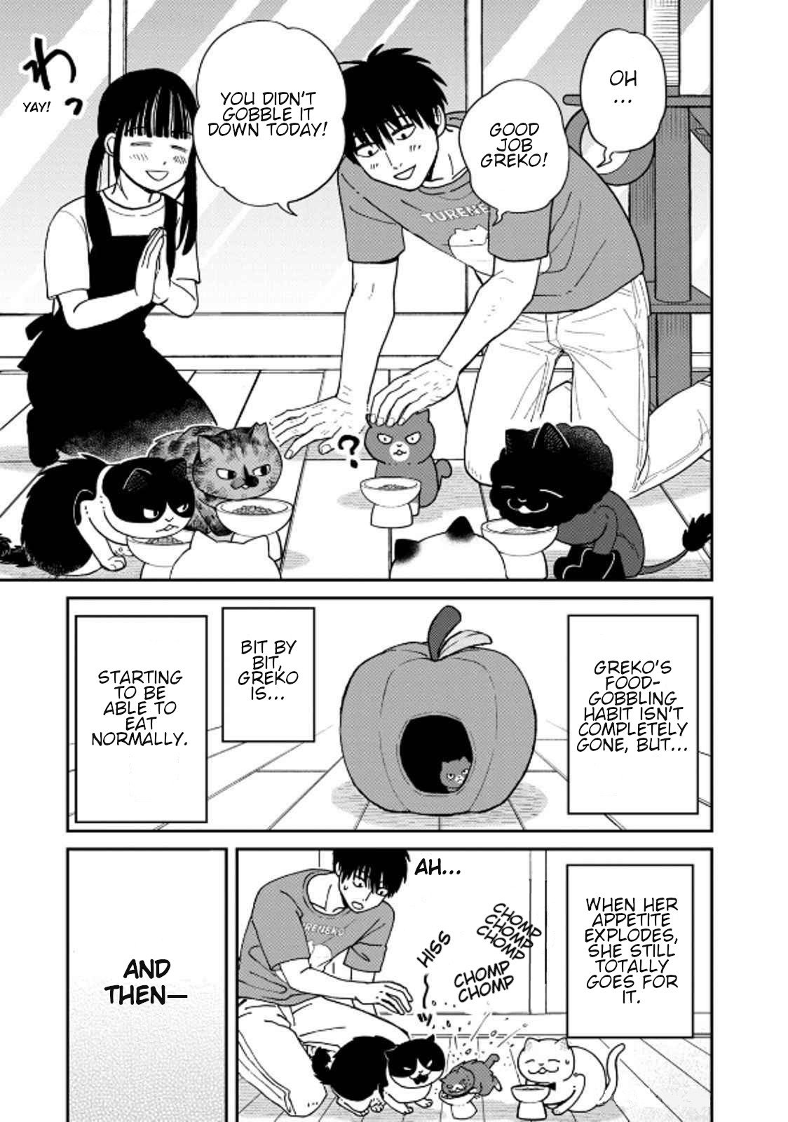 Cat Partners: Maruru and Hachi Chapter 39 page 13 - Chapter 39: Greko's Next Meal