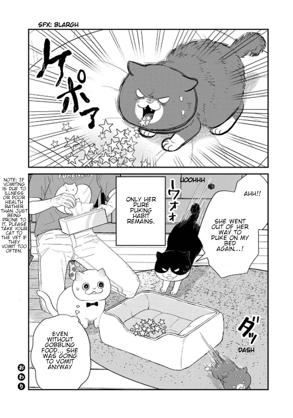 Cat Partners: Maruru and Hachi Chapter 39 page 14 - Chapter 39: Greko's Next Meal