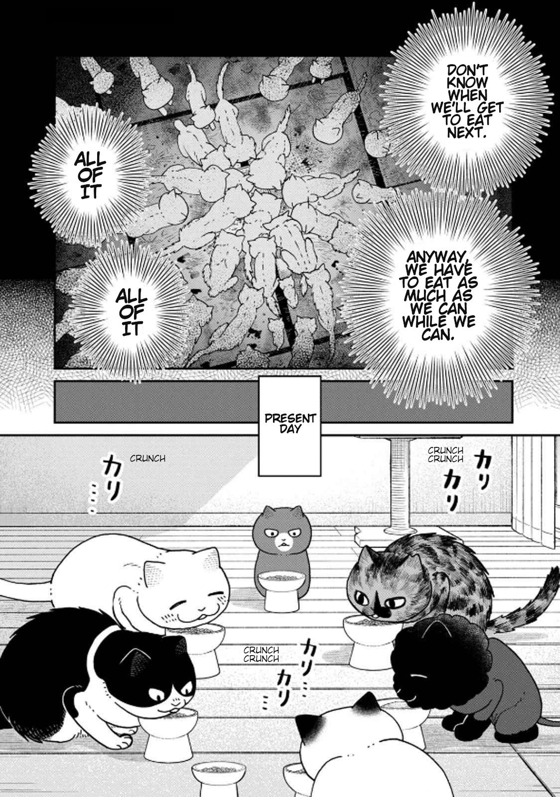 Cat Partners: Maruru and Hachi Chapter 39 page 2 - Chapter 39: Greko's Next Meal