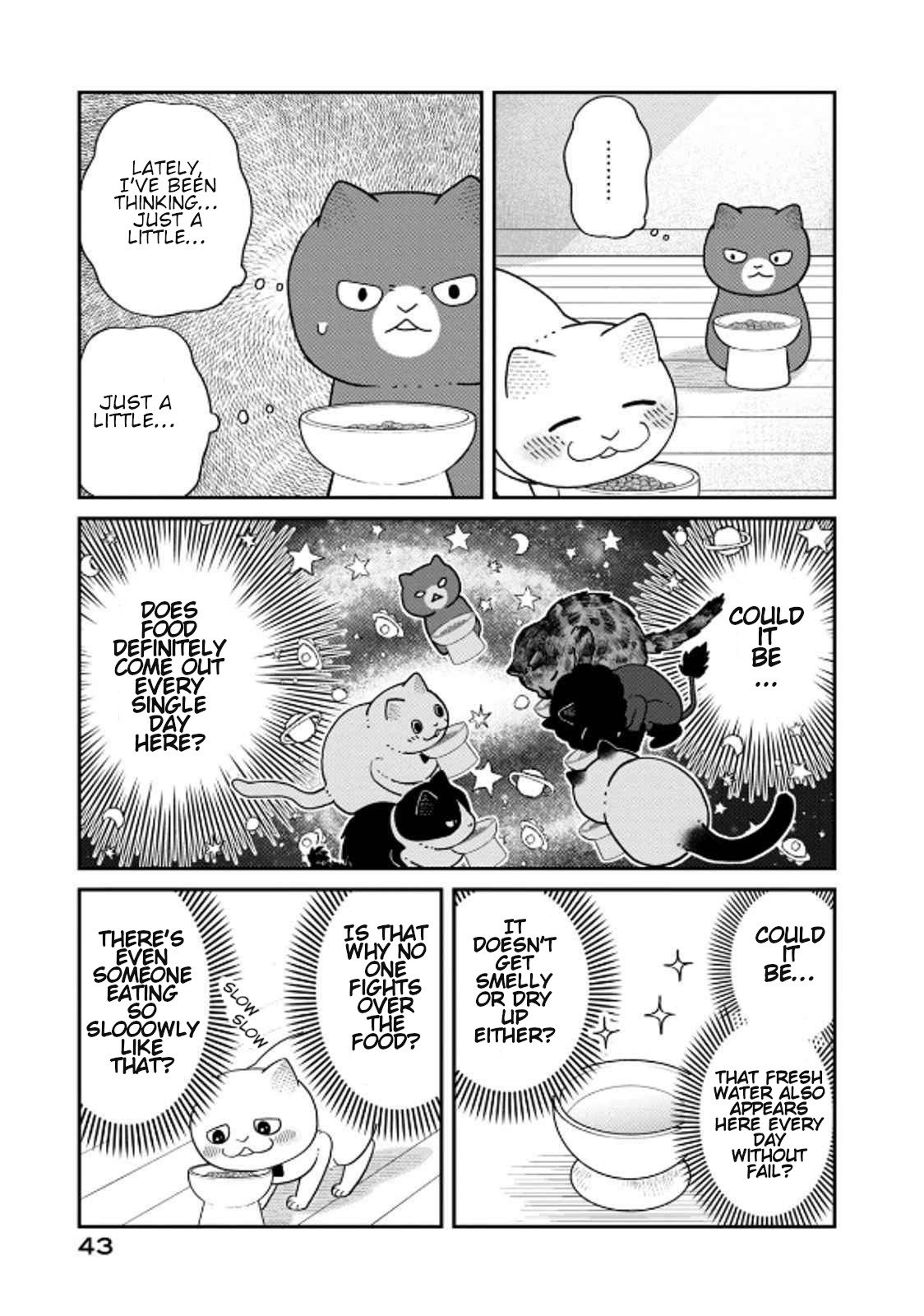Cat Partners: Maruru and Hachi Chapter 39 page 3 - Chapter 39: Greko's Next Meal