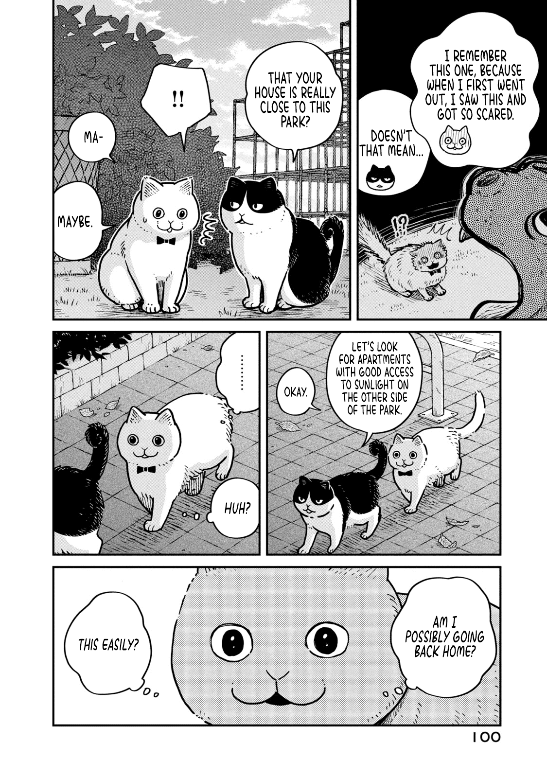 Cat Partners: Maruru and Hachi Chapter 4 page 13 - Chapter 4: The return of the lost cat