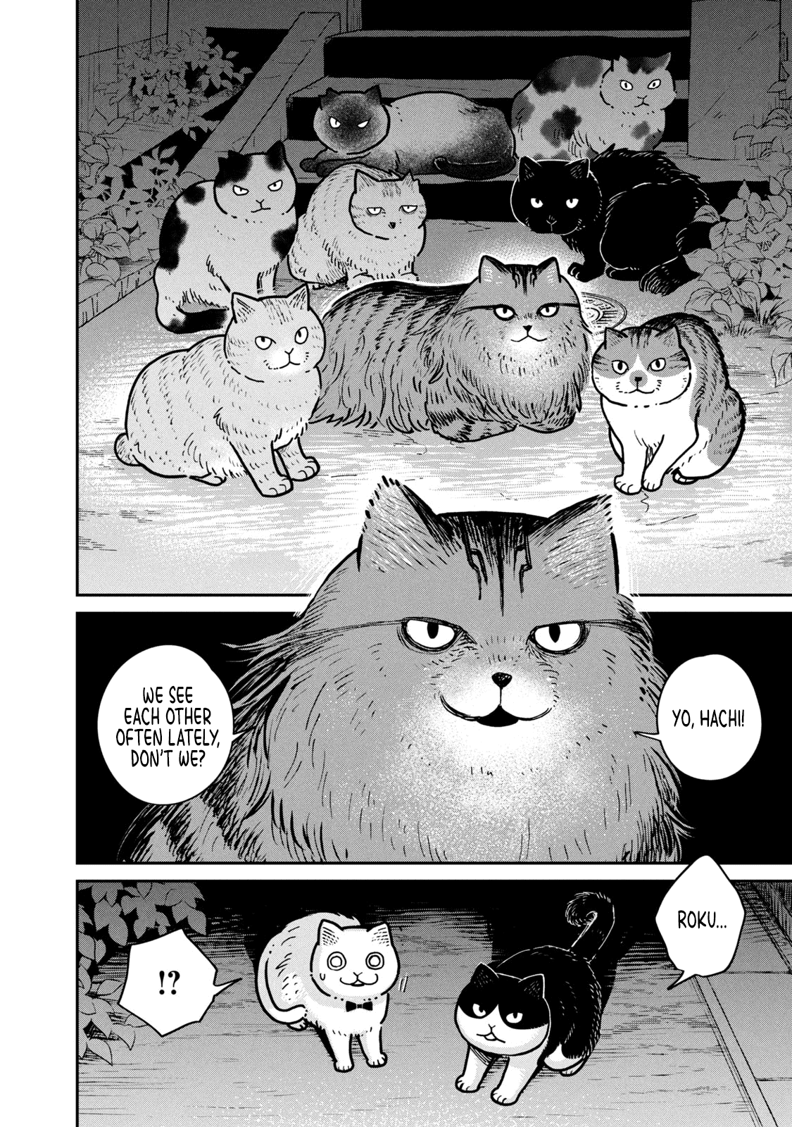 Cat Partners: Maruru and Hachi Chapter 4 page 15 - Chapter 4: The return of the lost cat