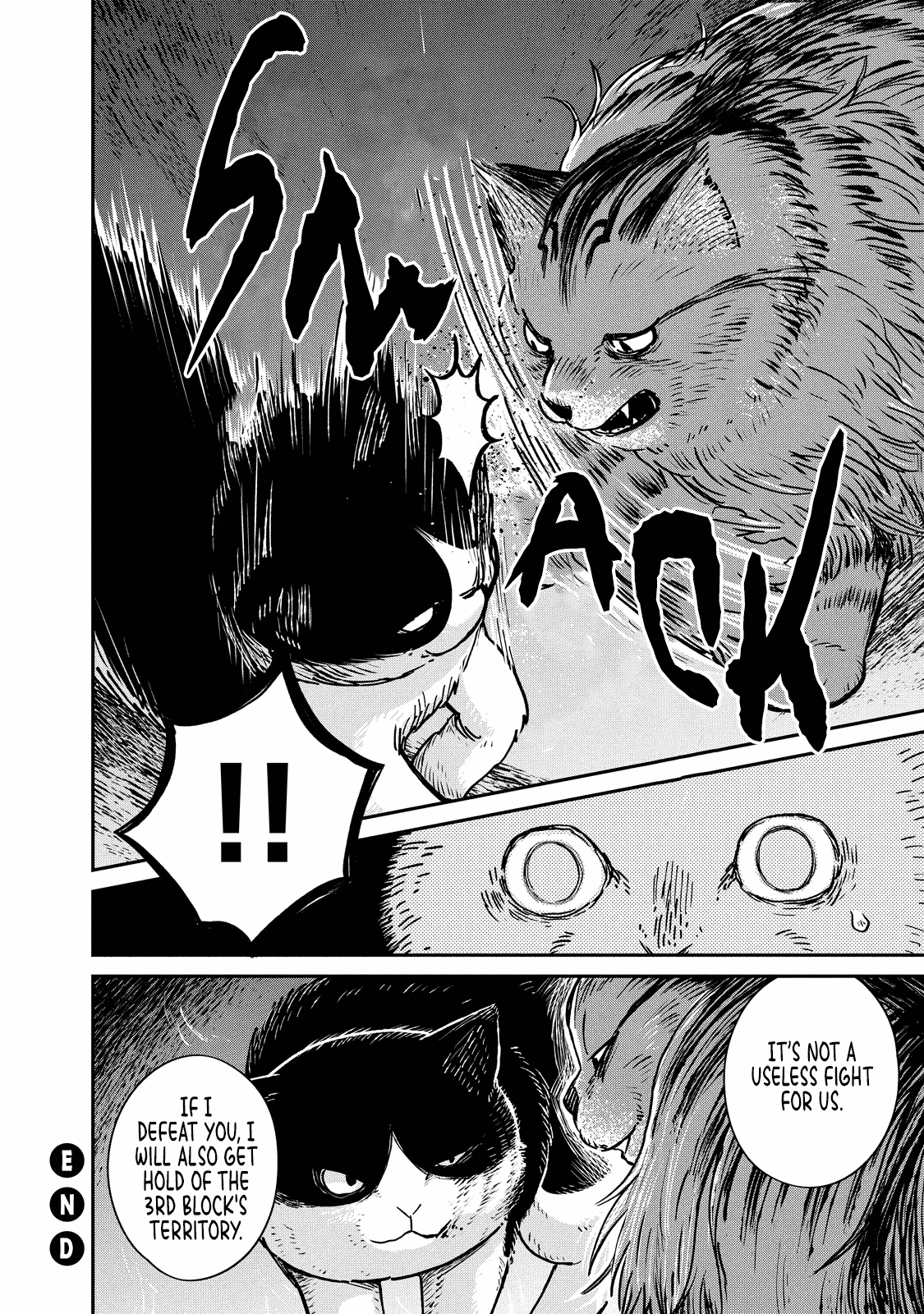 Cat Partners: Maruru and Hachi Chapter 4 page 17 - Chapter 4: The return of the lost cat
