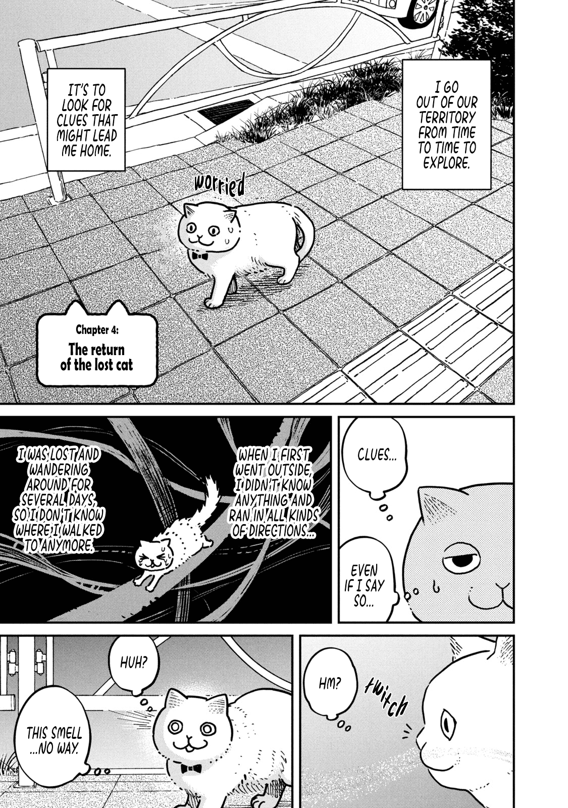 Cat Partners: Maruru and Hachi Chapter 4 page 2 - Chapter 4: The return of the lost cat