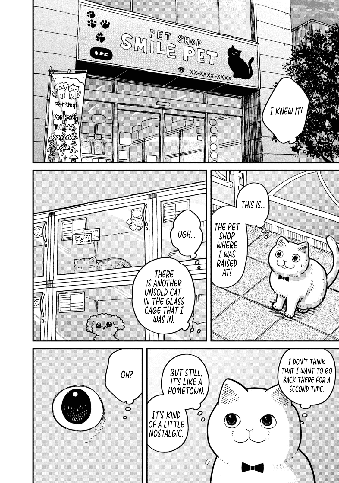 Cat Partners: Maruru and Hachi Chapter 4 page 3 - Chapter 4: The return of the lost cat