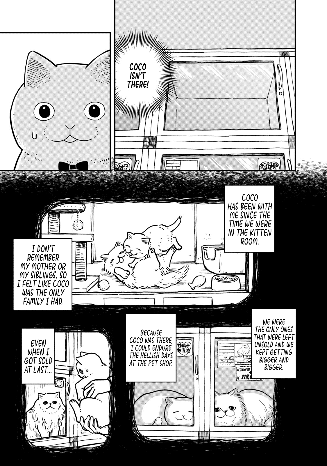 Cat Partners: Maruru and Hachi Chapter 4 page 4 - Chapter 4: The return of the lost cat