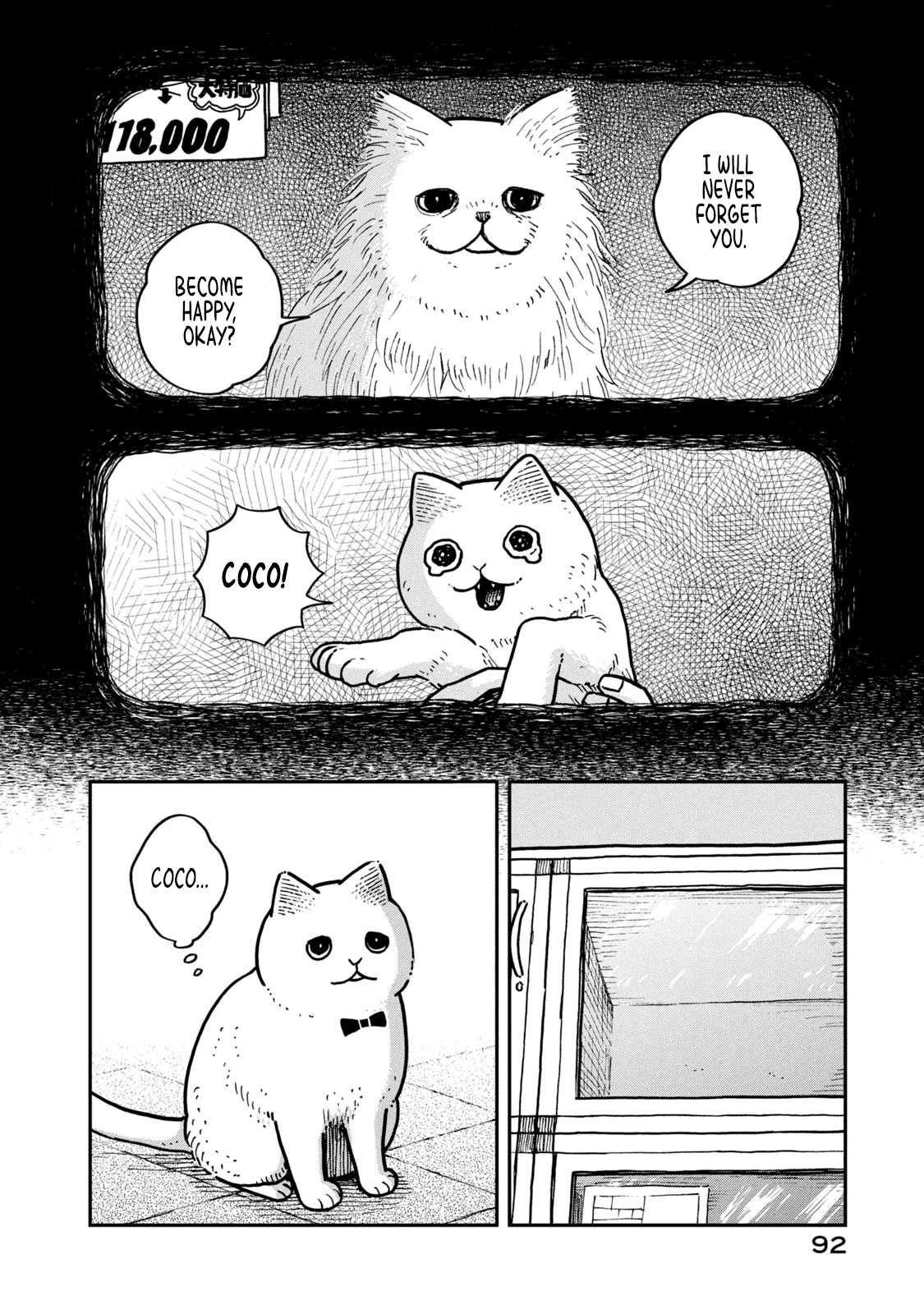 Cat Partners: Maruru and Hachi Chapter 4 page 5 - Chapter 4: The return of the lost cat