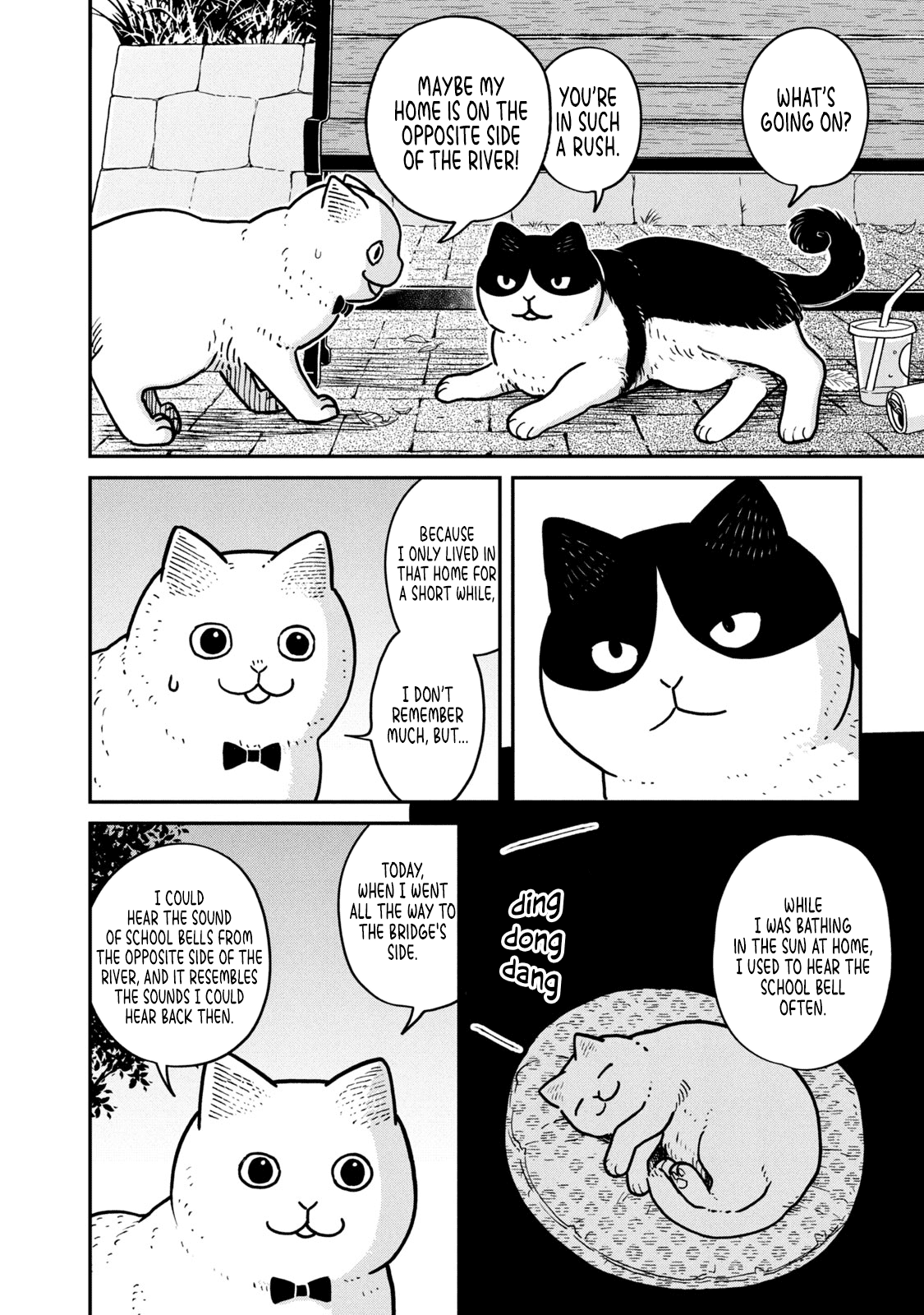 Cat Partners: Maruru and Hachi Chapter 4 page 7 - Chapter 4: The return of the lost cat