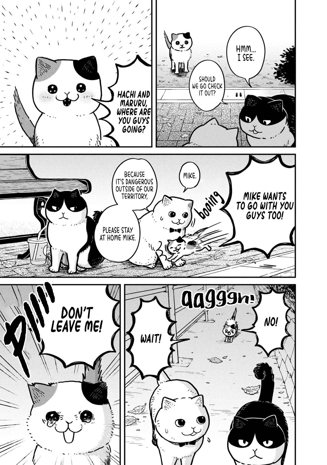 Cat Partners: Maruru and Hachi Chapter 4 page 8 - Chapter 4: The return of the lost cat