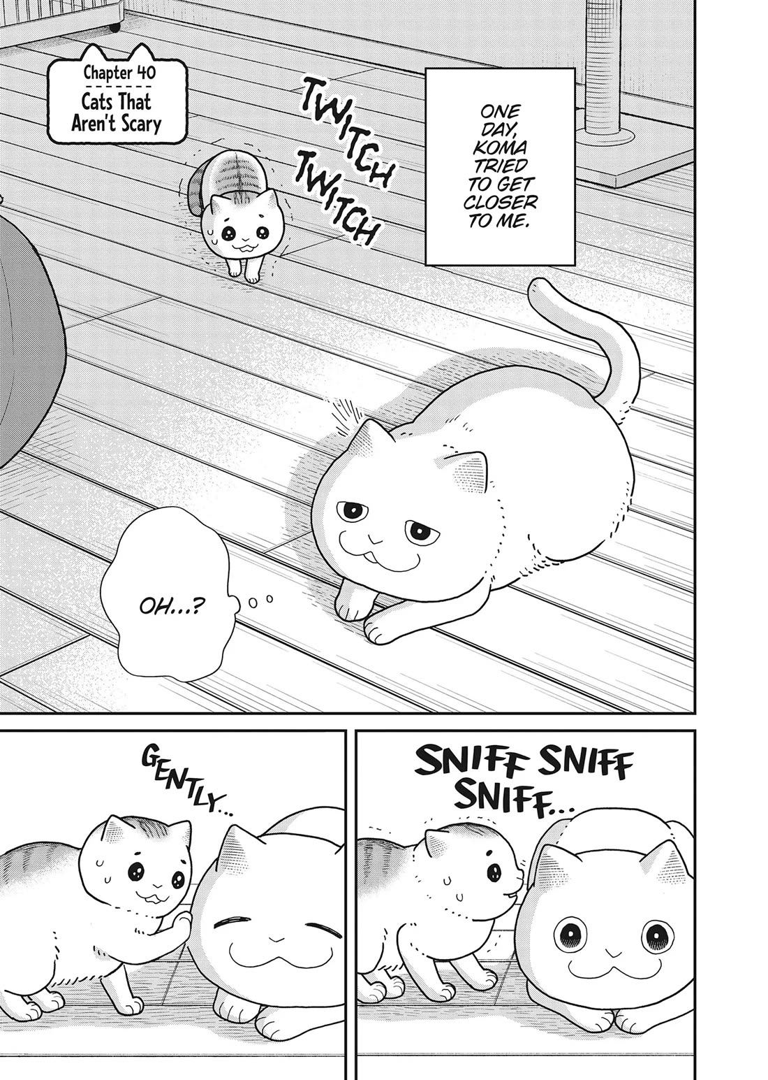 Cat Partners: Maruru and Hachi Chapter 40 page 1 - Chapter 40: Cats That Aren't Scary