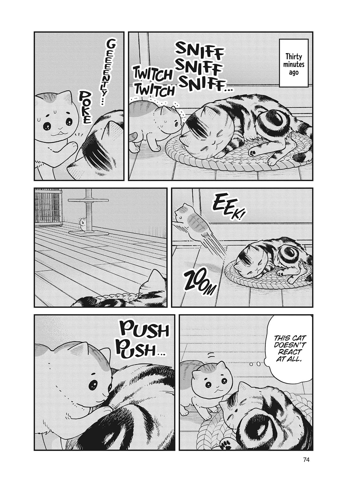 Cat Partners: Maruru and Hachi Chapter 40 page 10 - Chapter 40: Cats That Aren't Scary
