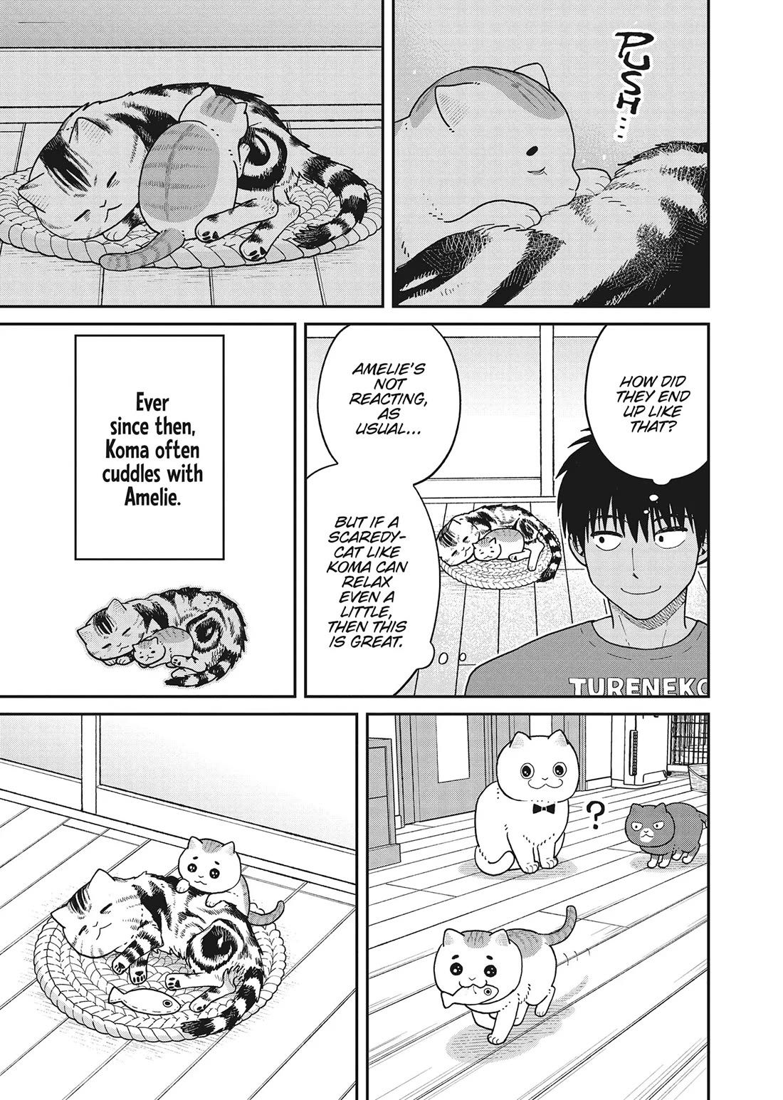 Cat Partners: Maruru and Hachi Chapter 40 page 11 - Chapter 40: Cats That Aren't Scary