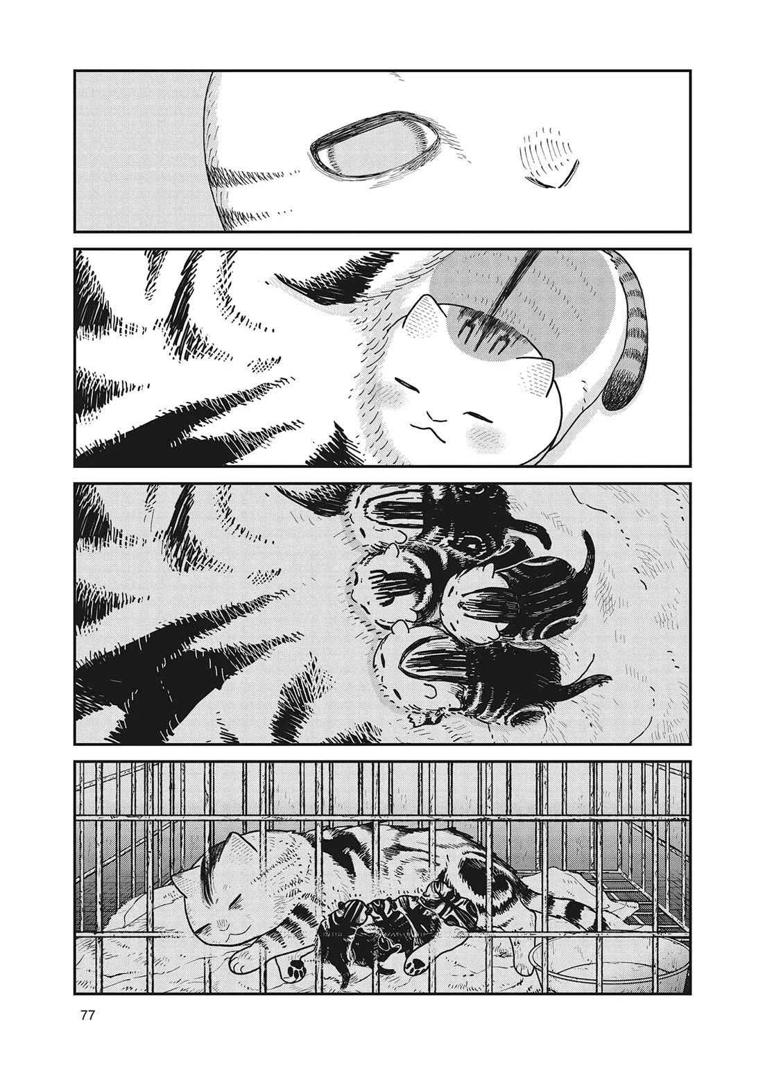 Cat Partners: Maruru and Hachi Chapter 40 page 13 - Chapter 40: Cats That Aren't Scary