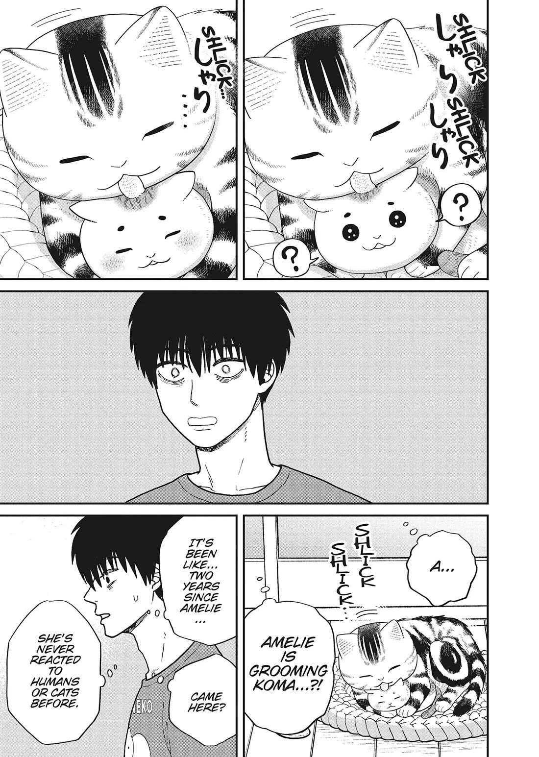 Cat Partners: Maruru and Hachi Chapter 40 page 15 - Chapter 40: Cats That Aren't Scary