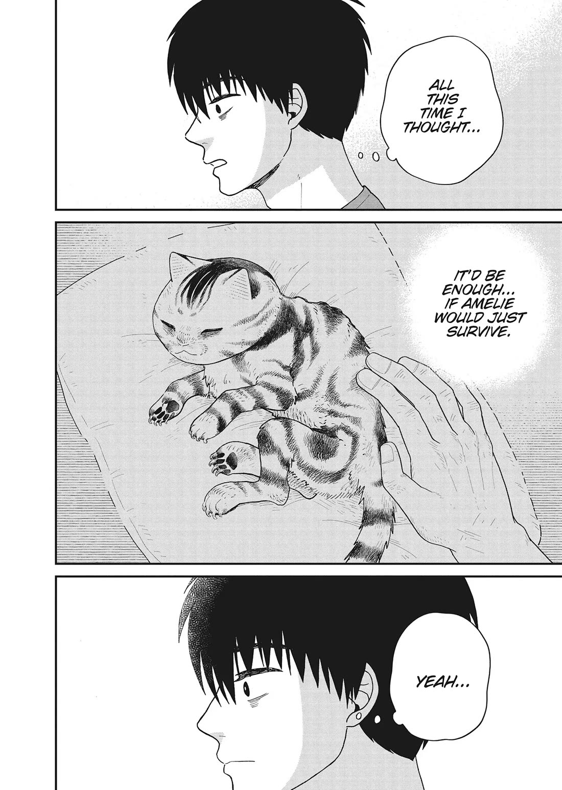 Cat Partners: Maruru and Hachi Chapter 40 page 16 - Chapter 40: Cats That Aren't Scary