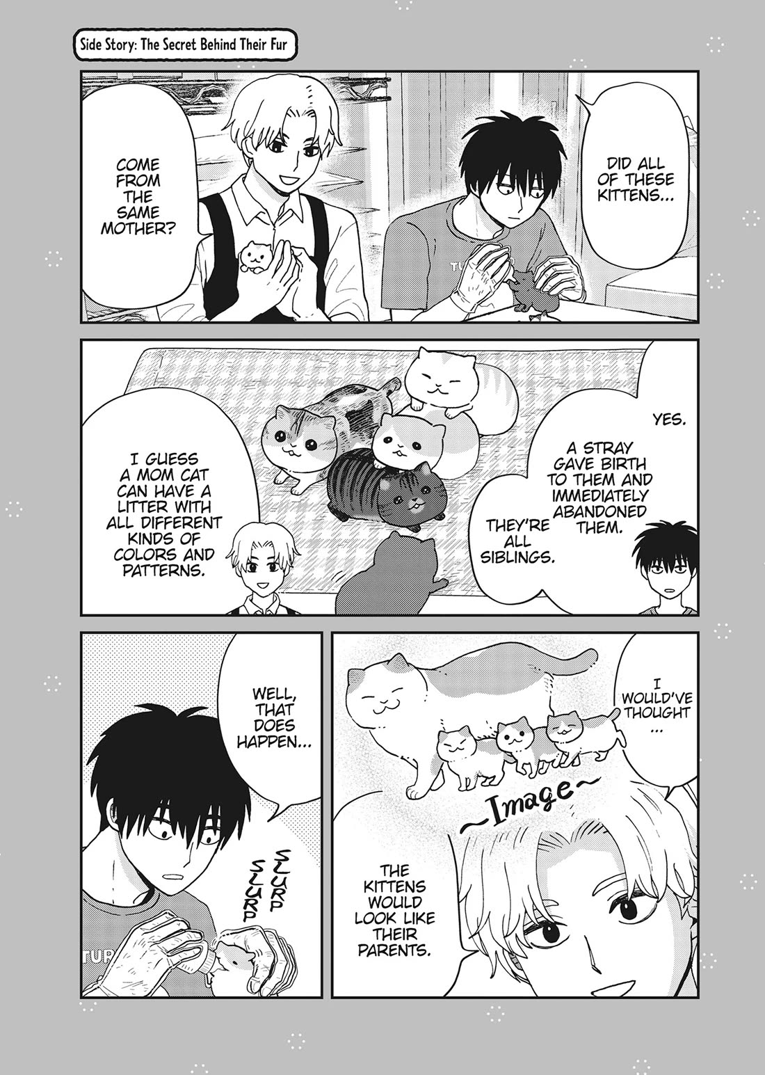 Cat Partners: Maruru and Hachi Chapter 40 page 19 - Chapter 40: Cats That Aren't Scary