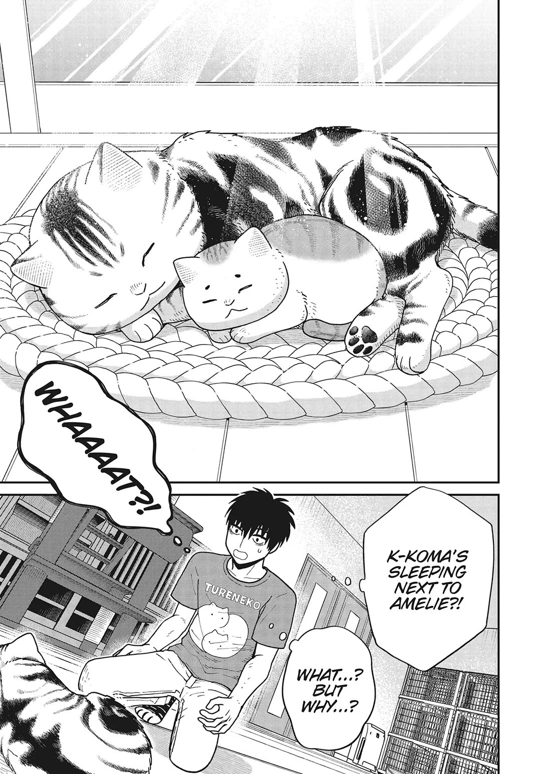 Cat Partners: Maruru and Hachi Chapter 40 page 9 - Chapter 40: Cats That Aren't Scary