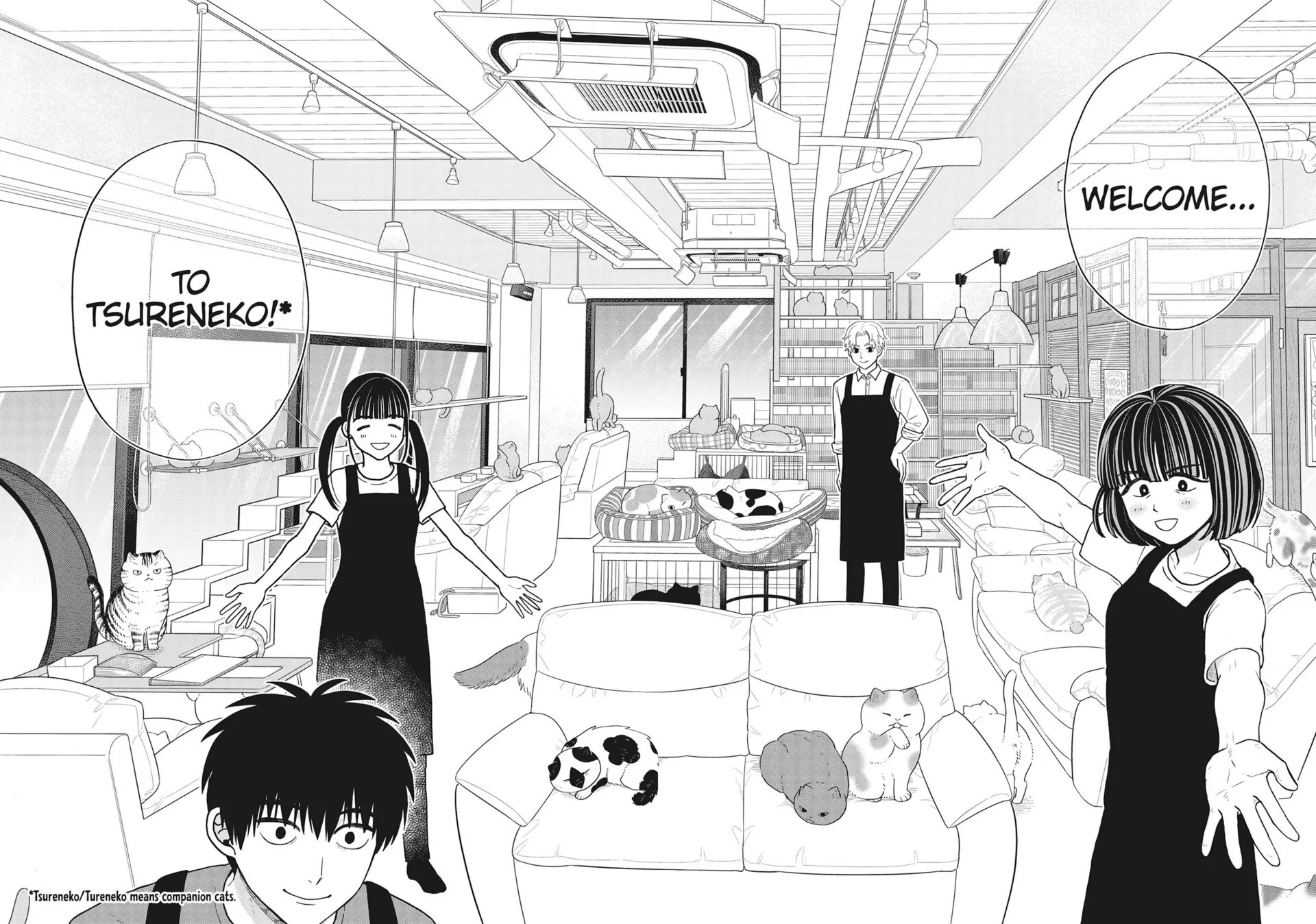 Cat Partners: Maruru and Hachi Chapter 41 page 12 - Chapter 41: Welcome to Tsureneko